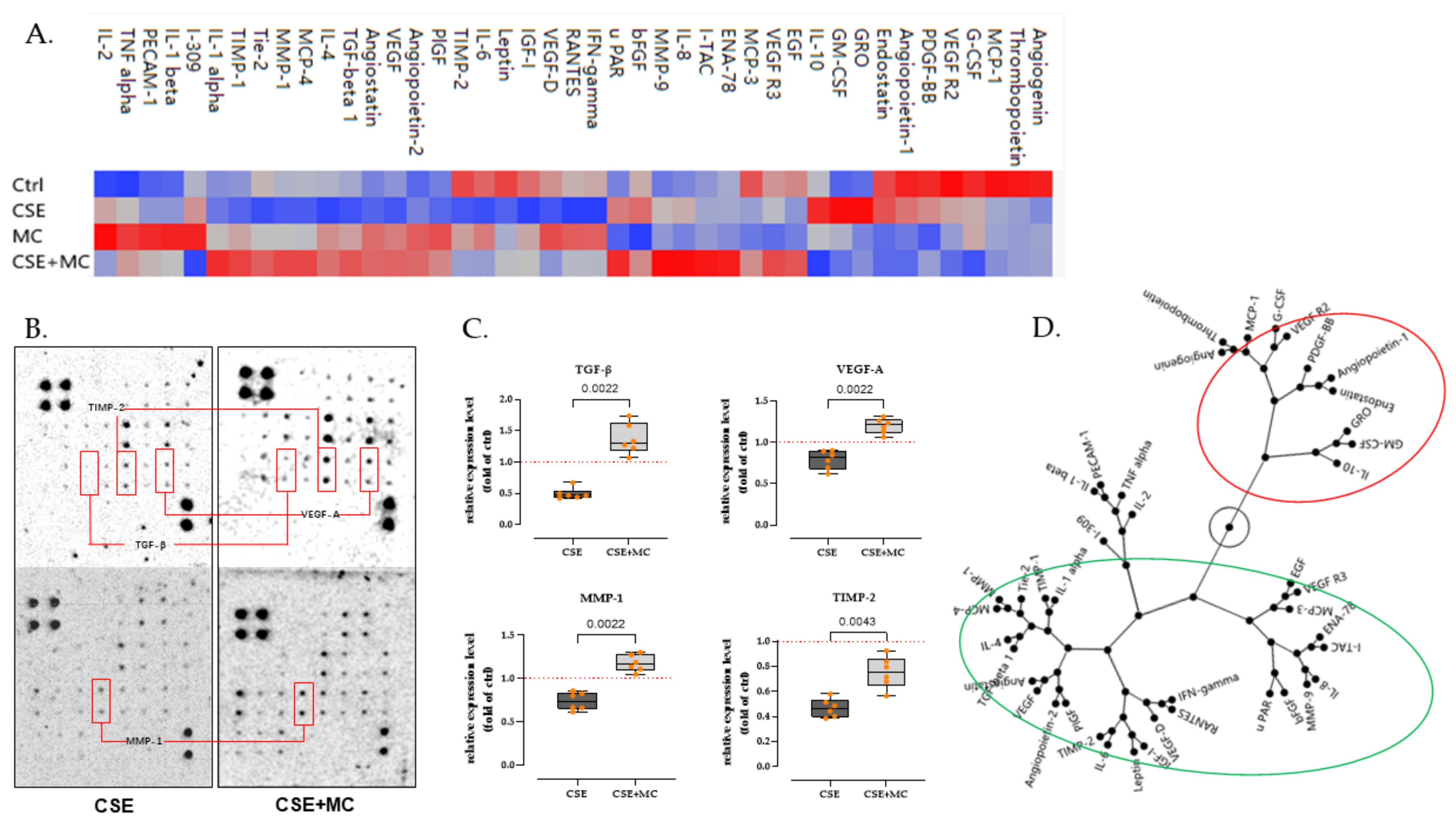 Bioengineering 09 00445 g003