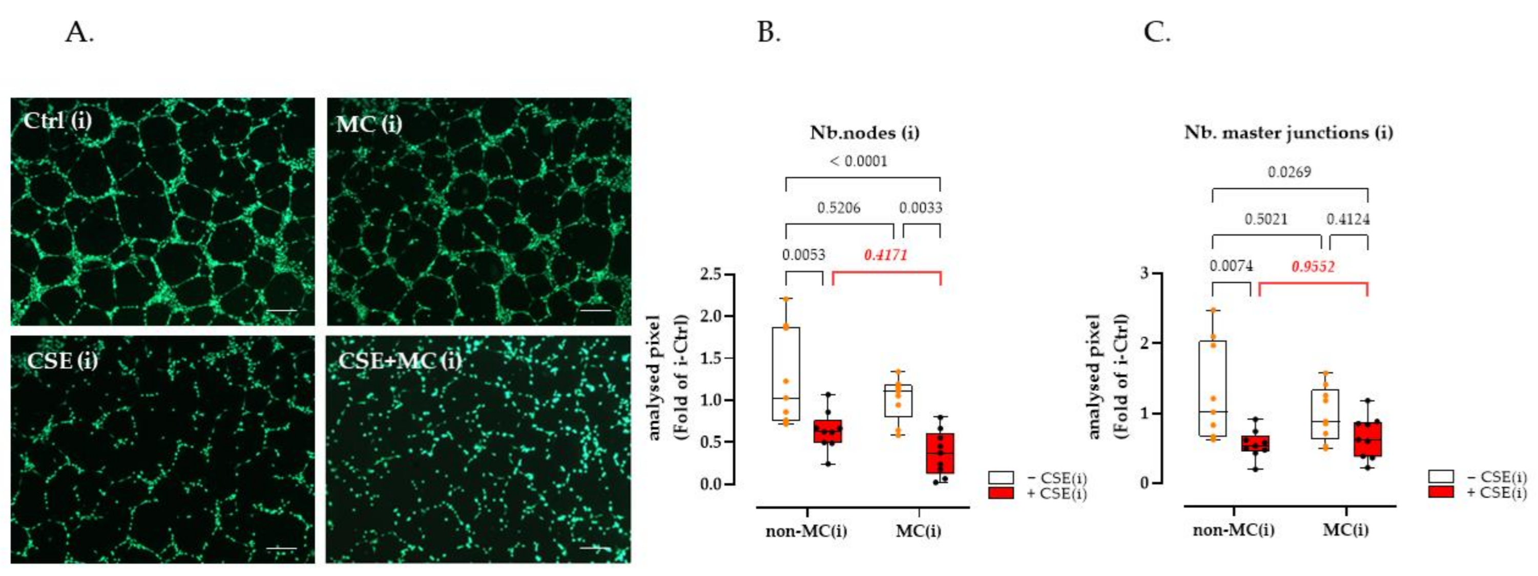Bioengineering 09 00445 g005