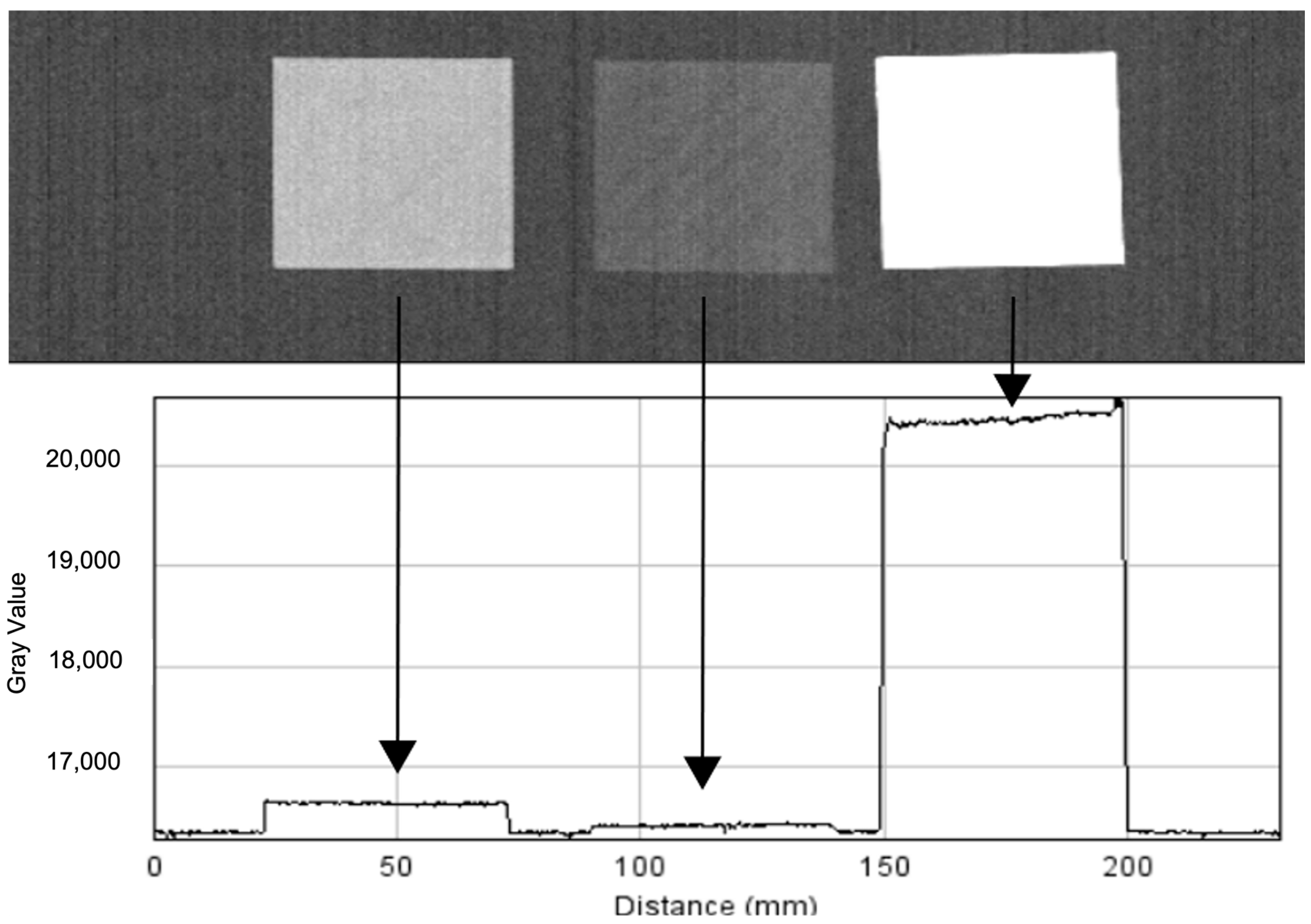 Bioengineering 09 00469 g002