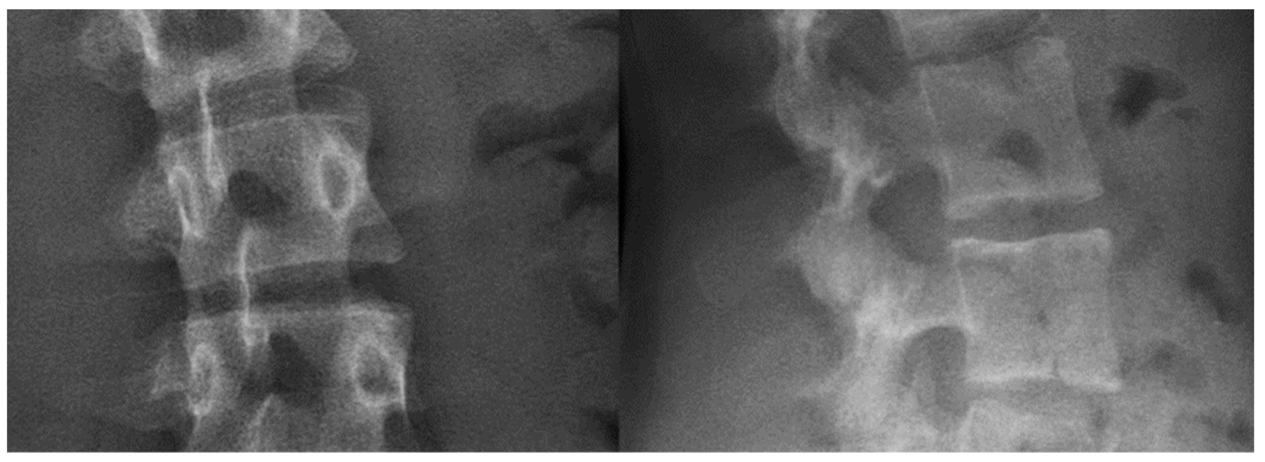 Bioengineering 09 00469 g004