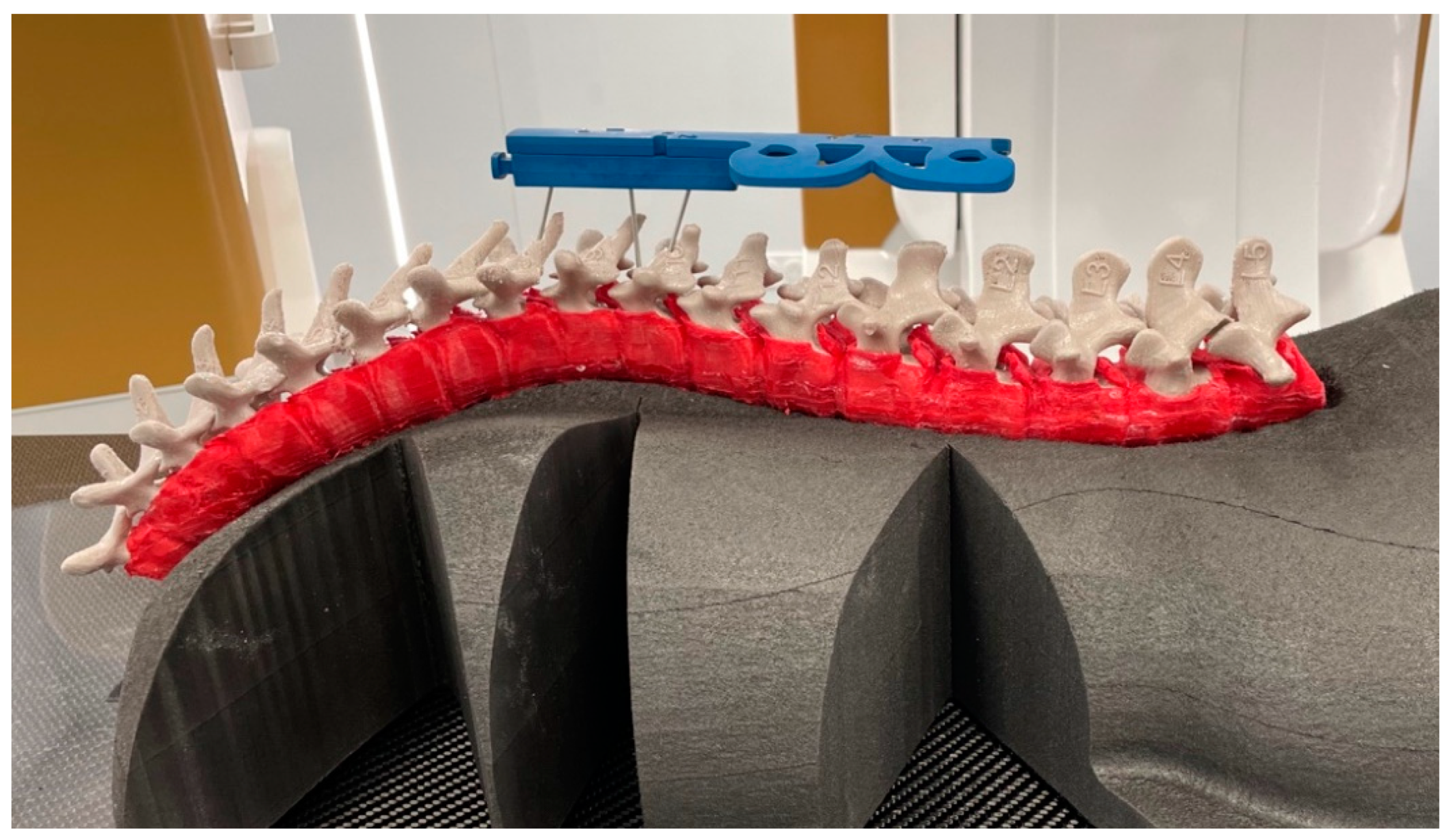 Bioengineering 09 00469 g005