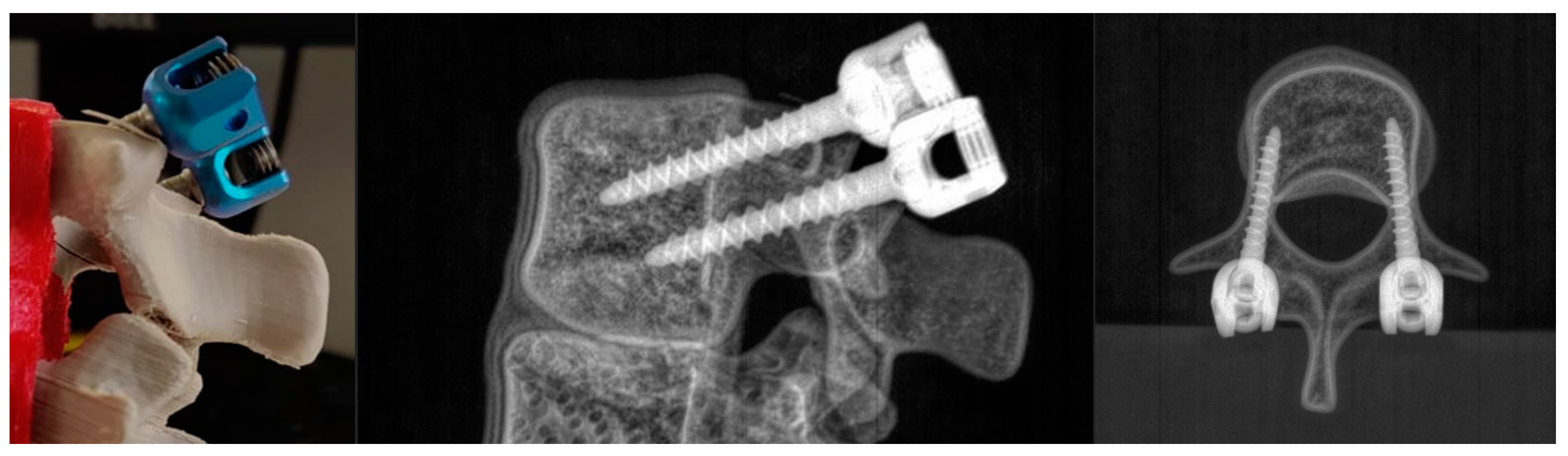 Bioengineering 09 00469 g007