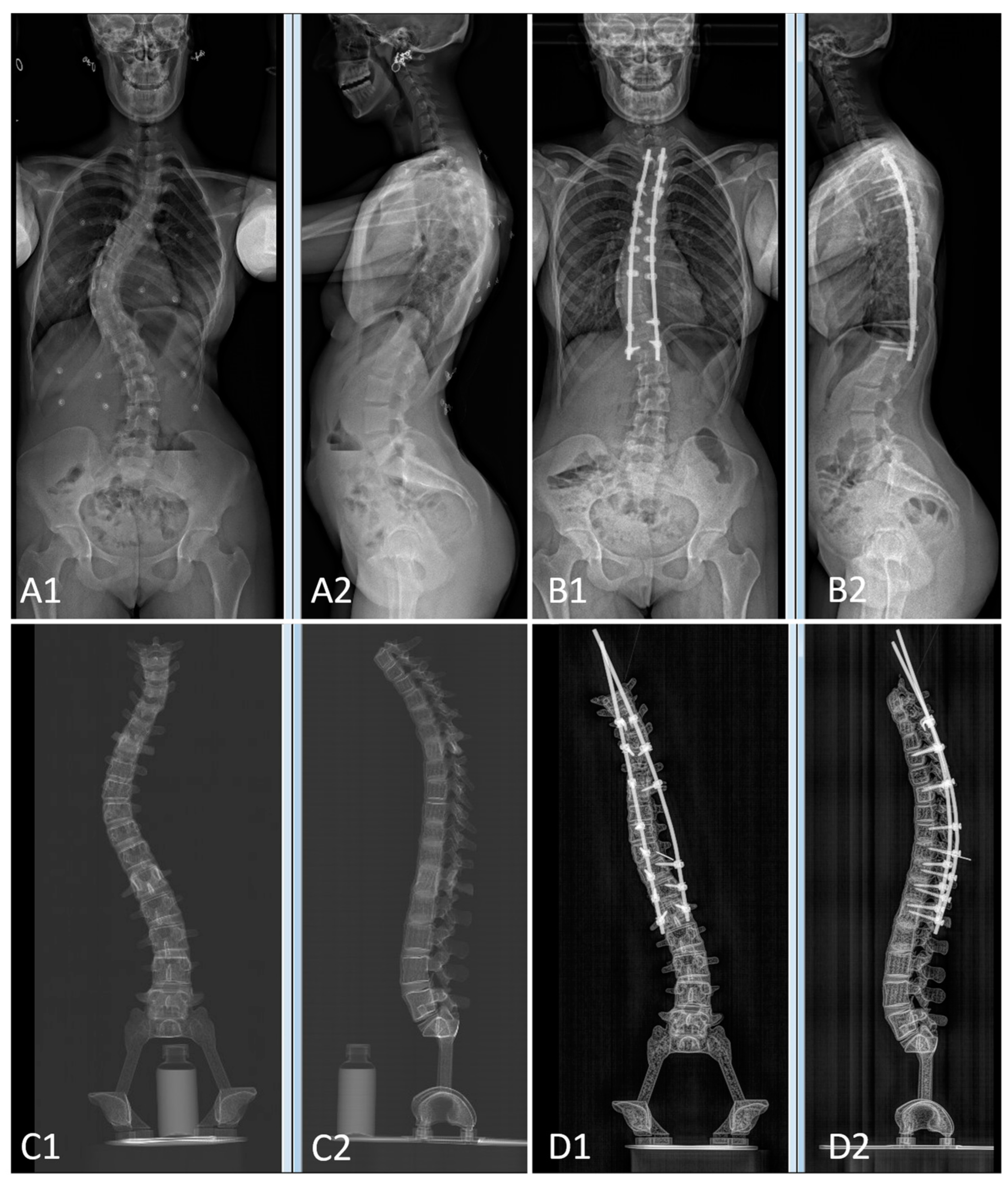Bioengineering 09 00469 g008