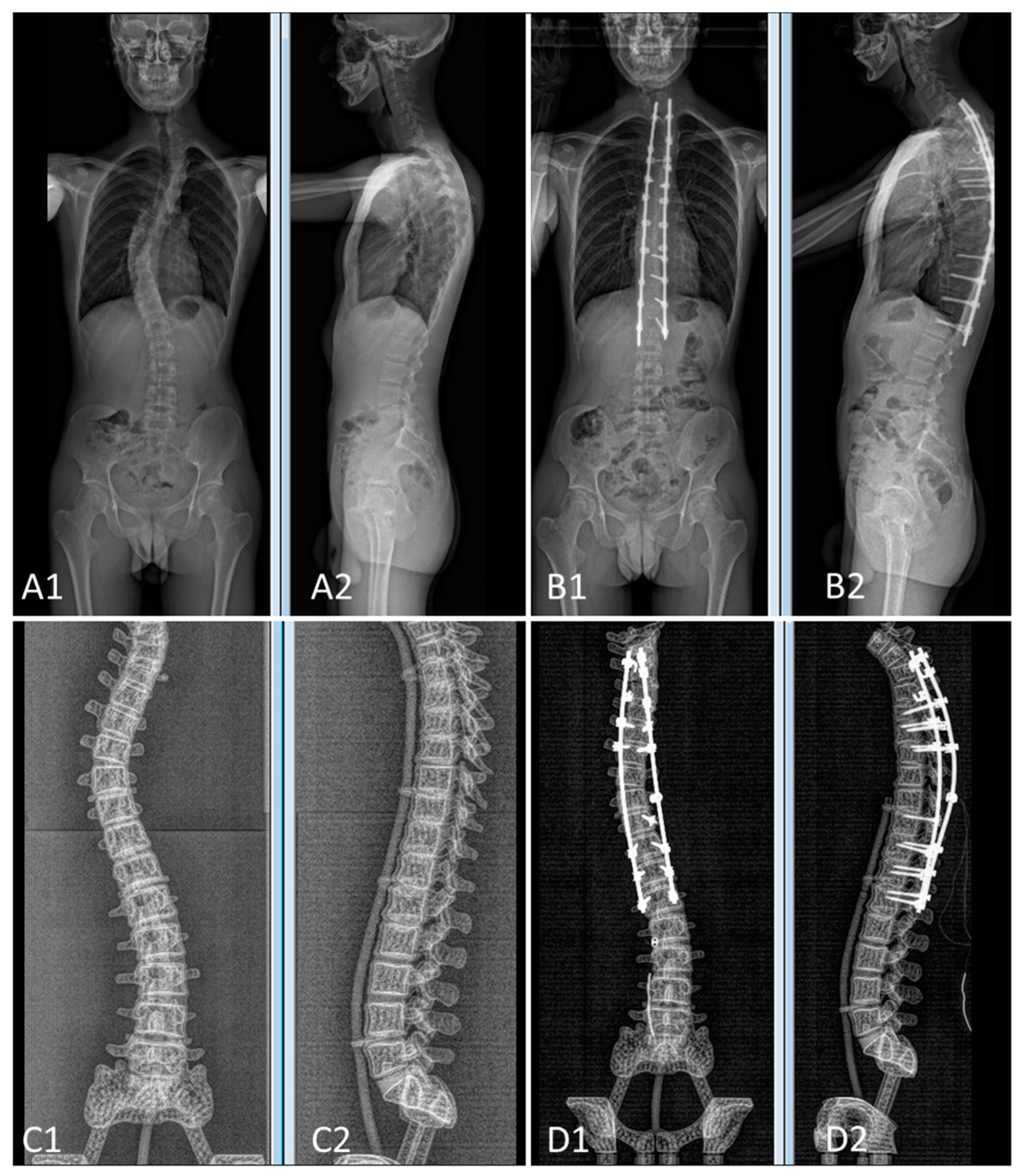 Bioengineering 09 00469 g010