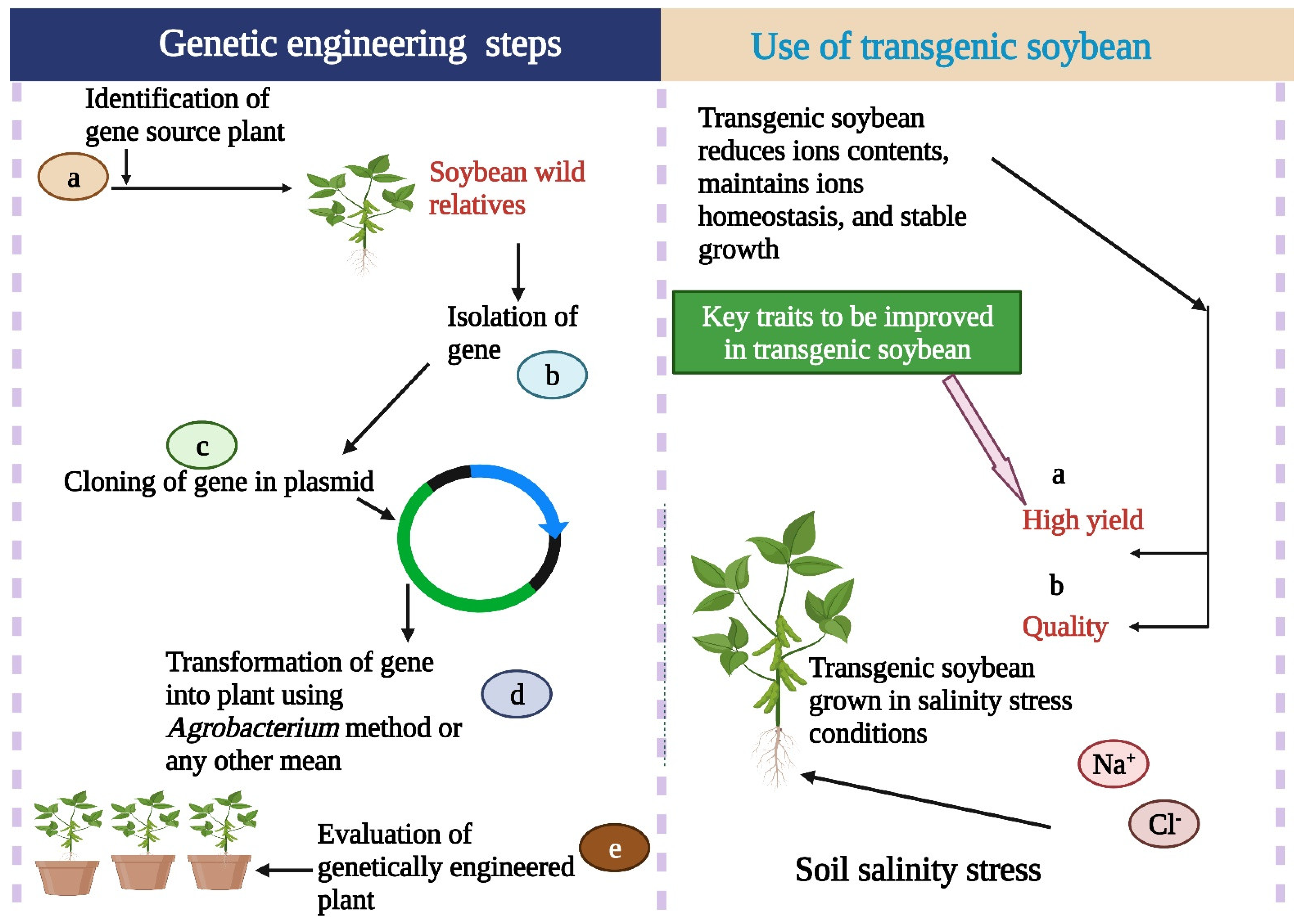 Bioengineering 09 00495 g002