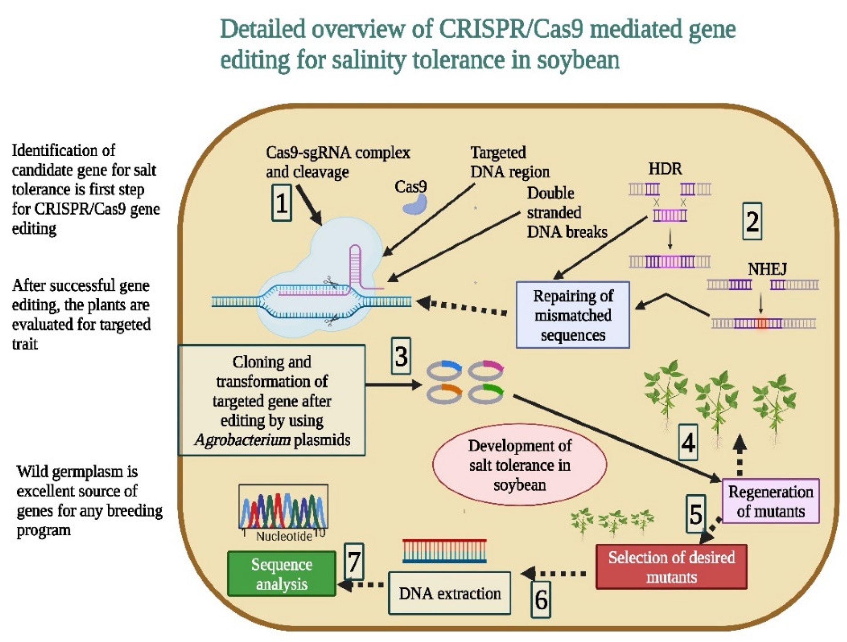 Bioengineering 09 00495 g003