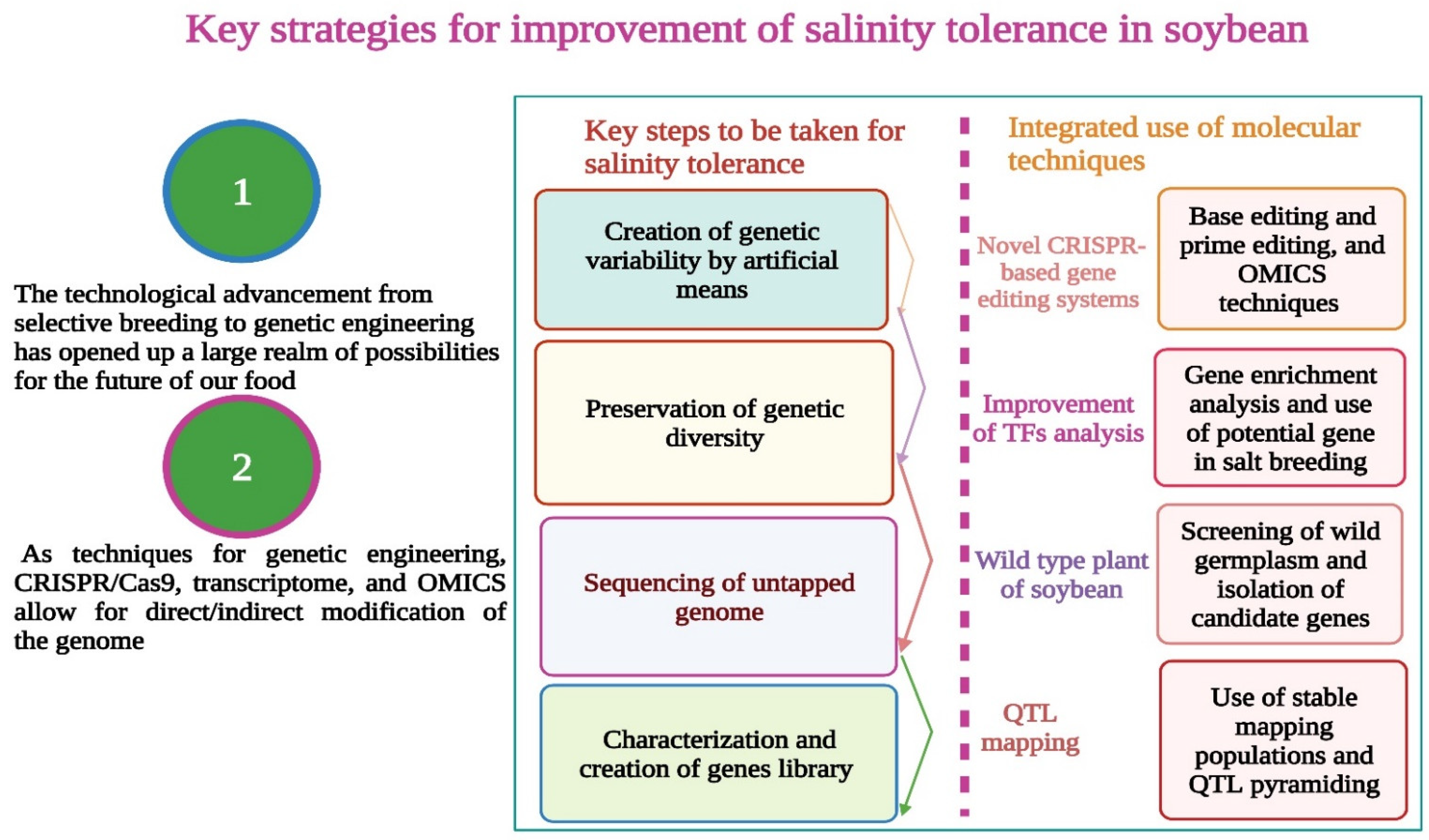 Bioengineering 09 00495 g004