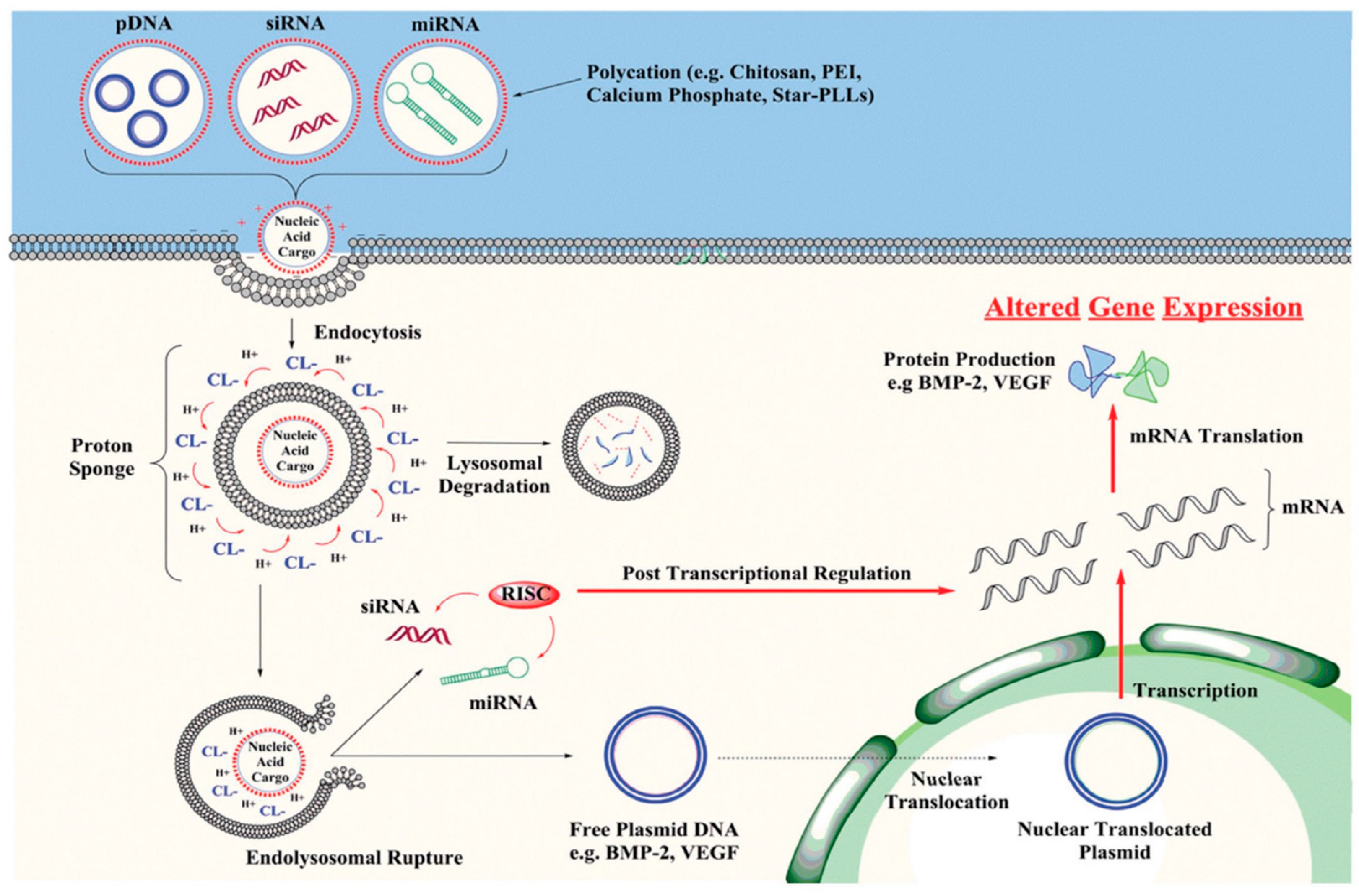 Bioengineering 09 00502 g001
