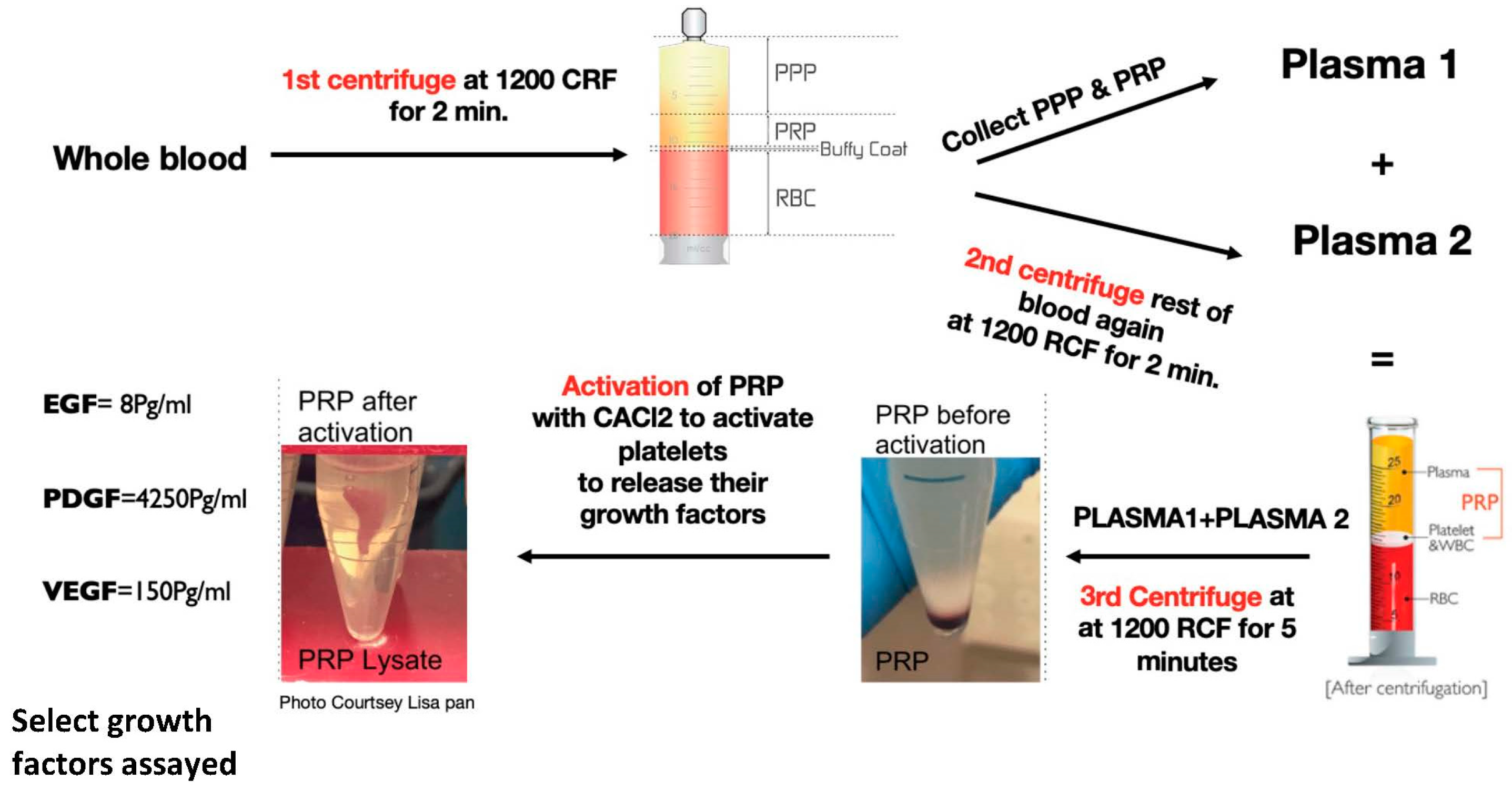 Bioengineering 09 00513 g001 Bioengineering 09 00513 g001