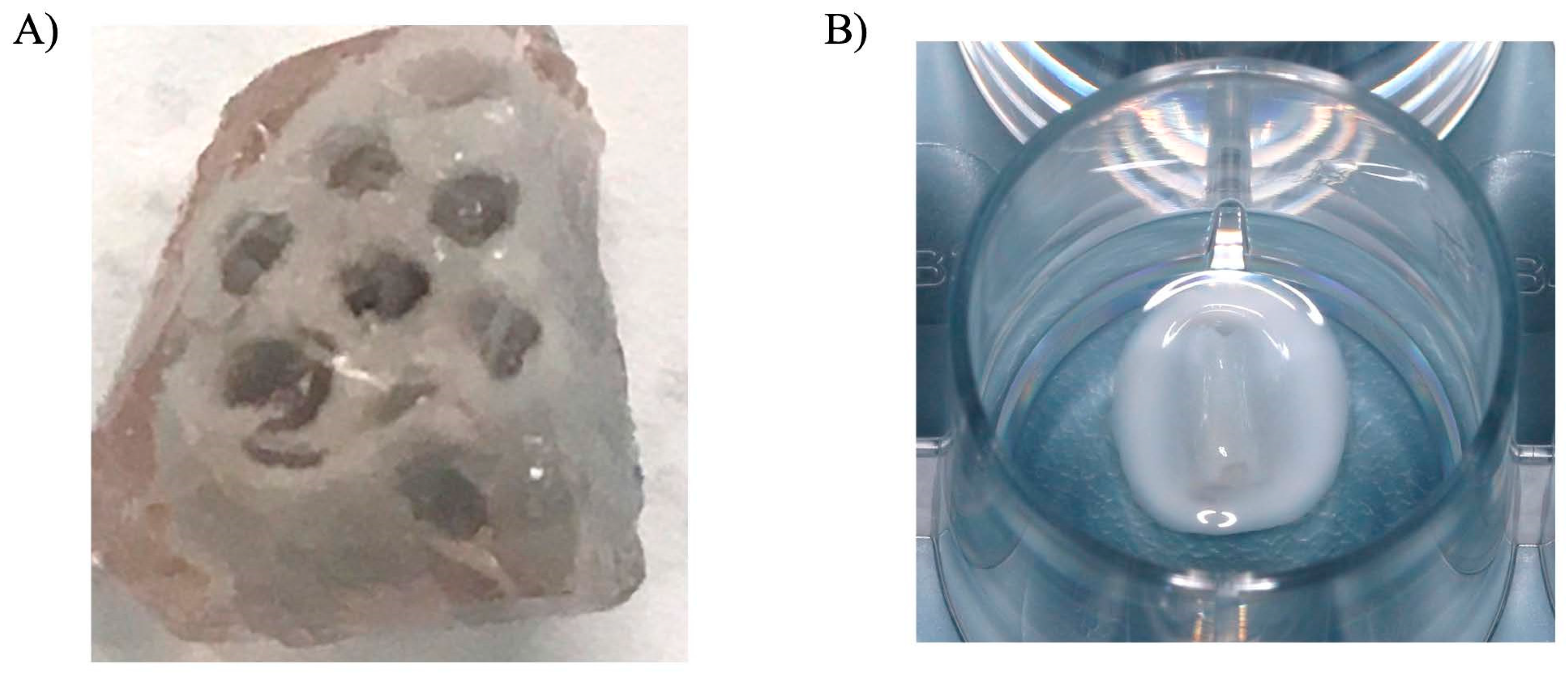 Bioengineering 09 00513 g007 Bioengineering 09 00513 g007