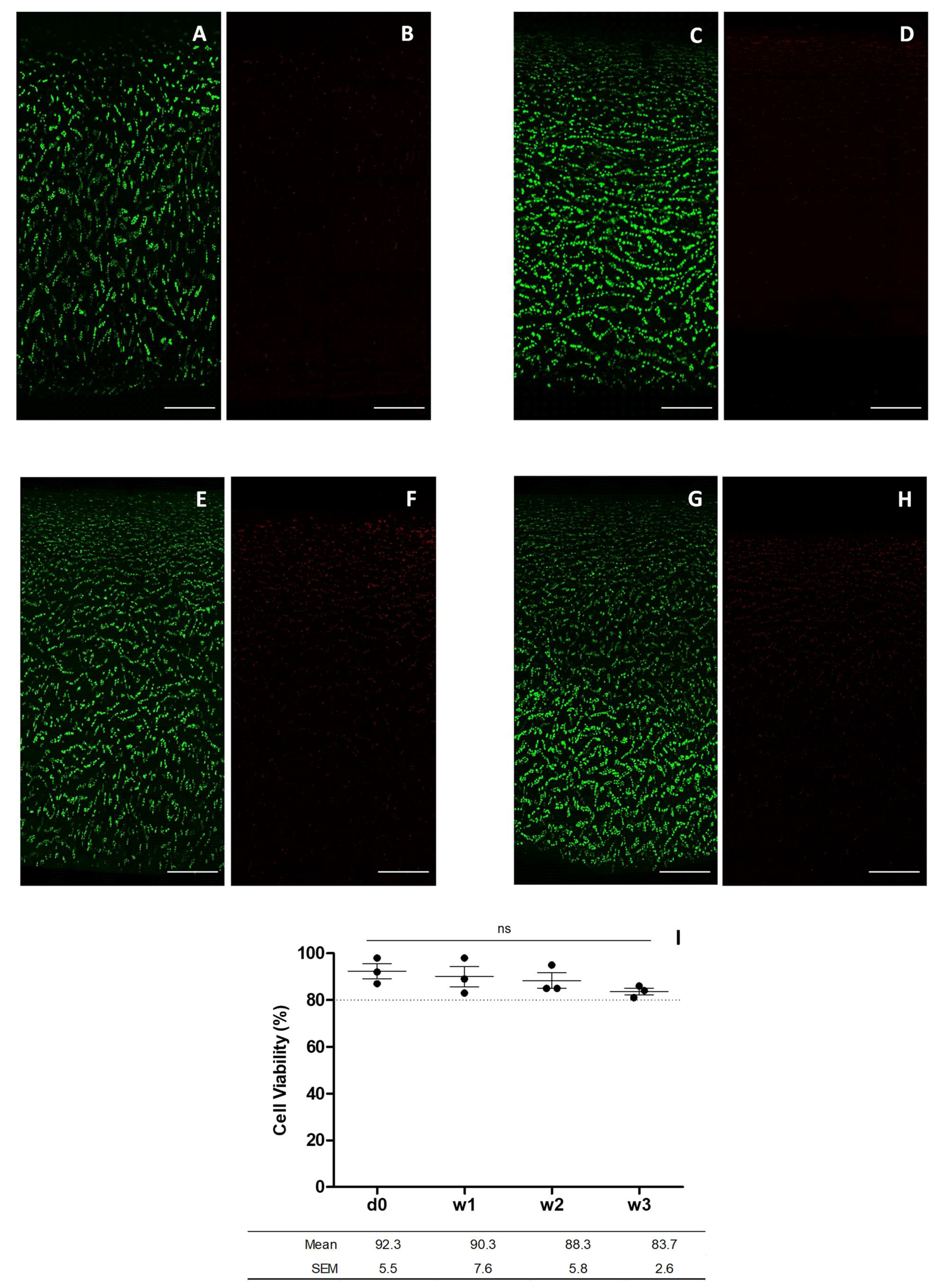 Bioengineering 09 00515 g005 Bioengineering 09 00515 g005