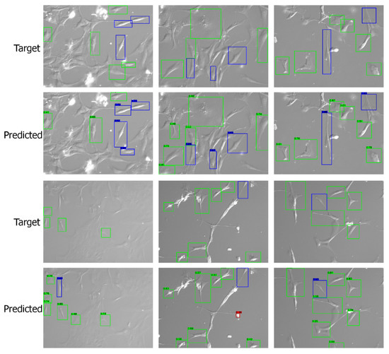 Bioengineering 09 00522 g0a3