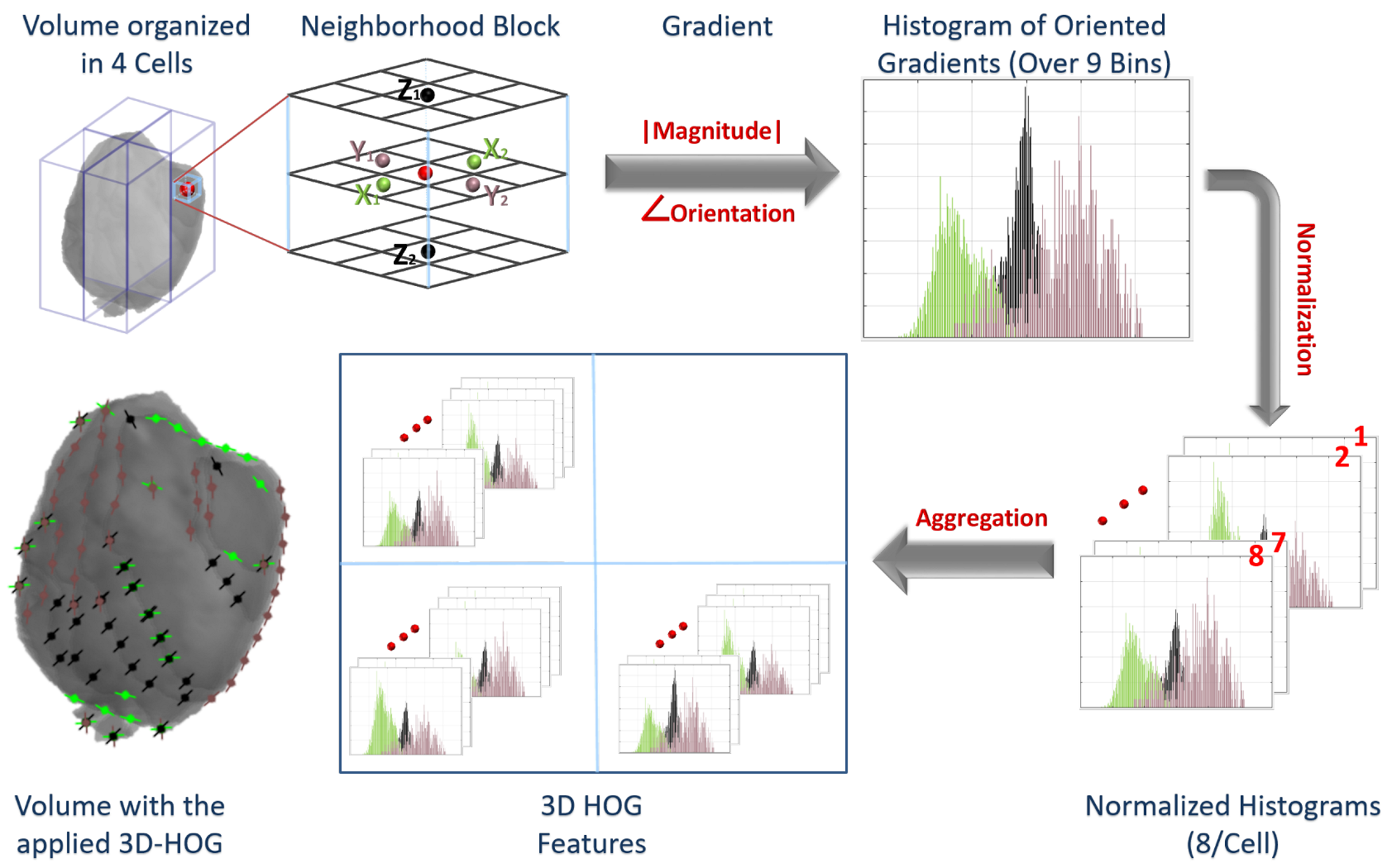 Bioengineering 09 00532 g003