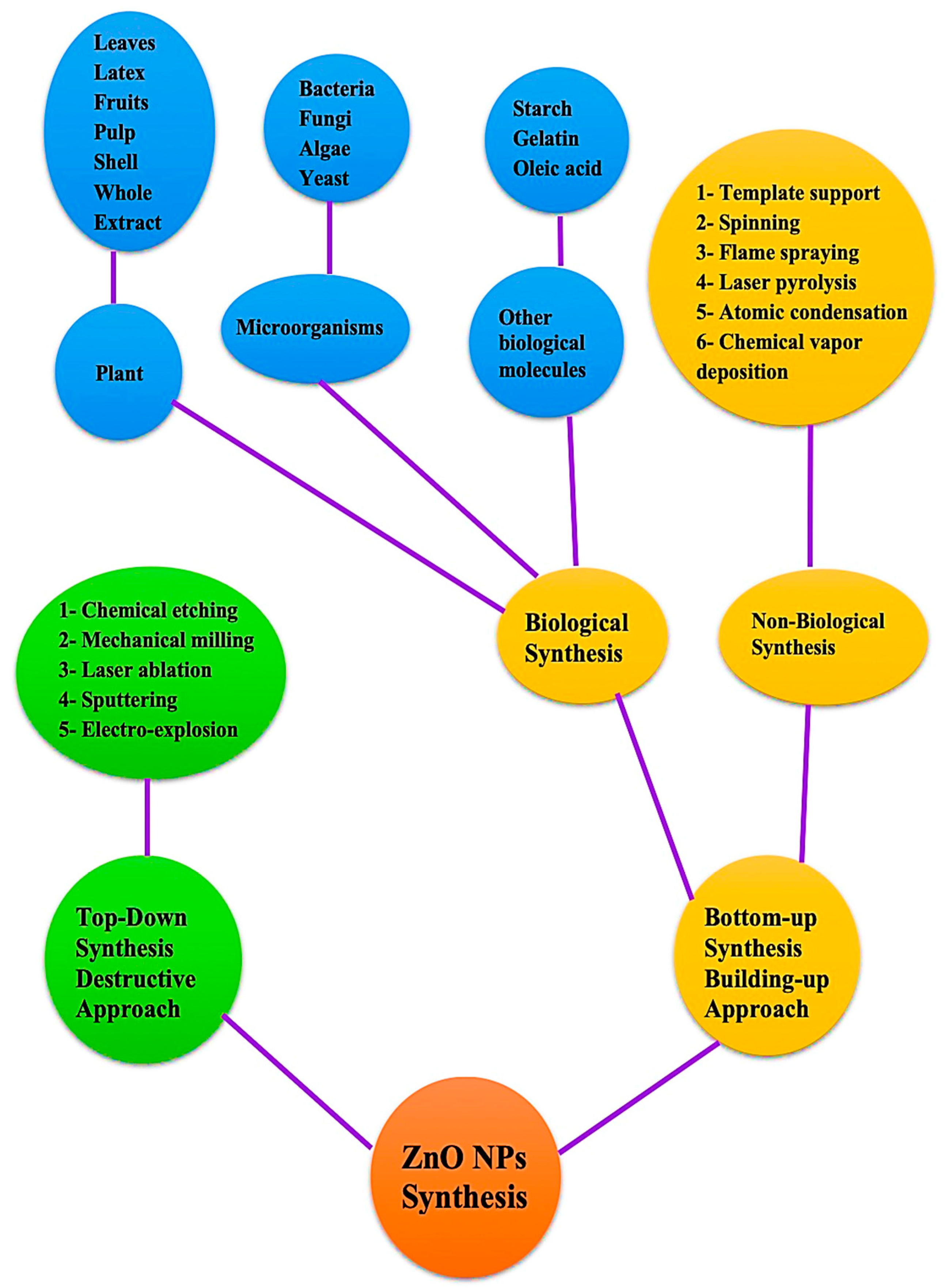 Bioengineering 09 00541 g002