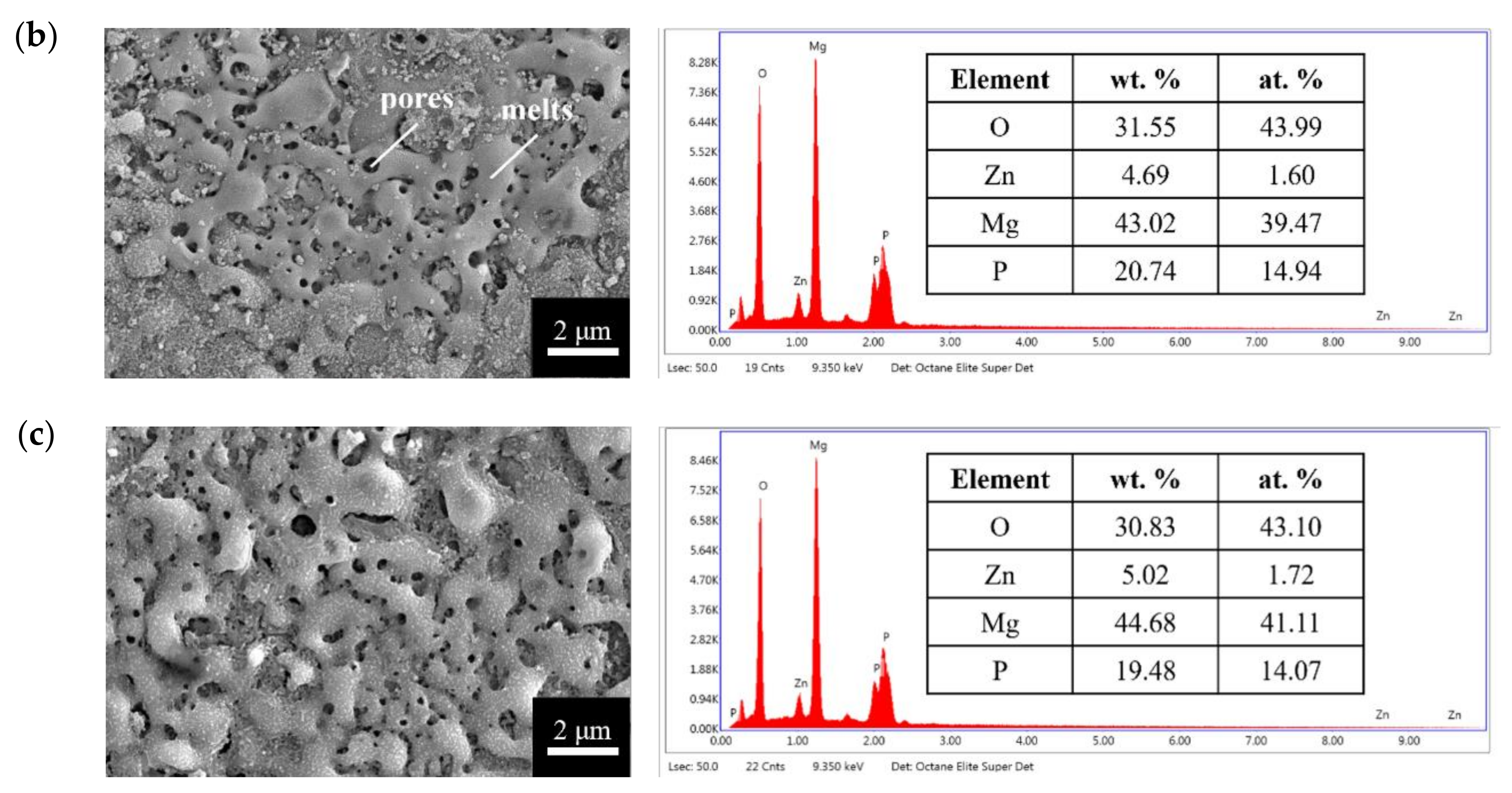 Bioengineering 09 00542 g002b