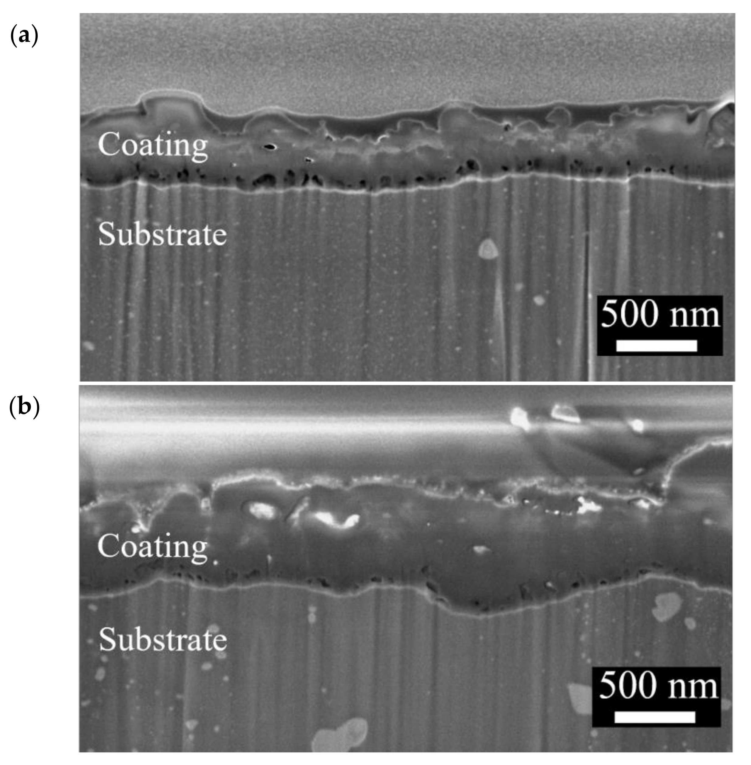 Bioengineering 09 00542 g003a