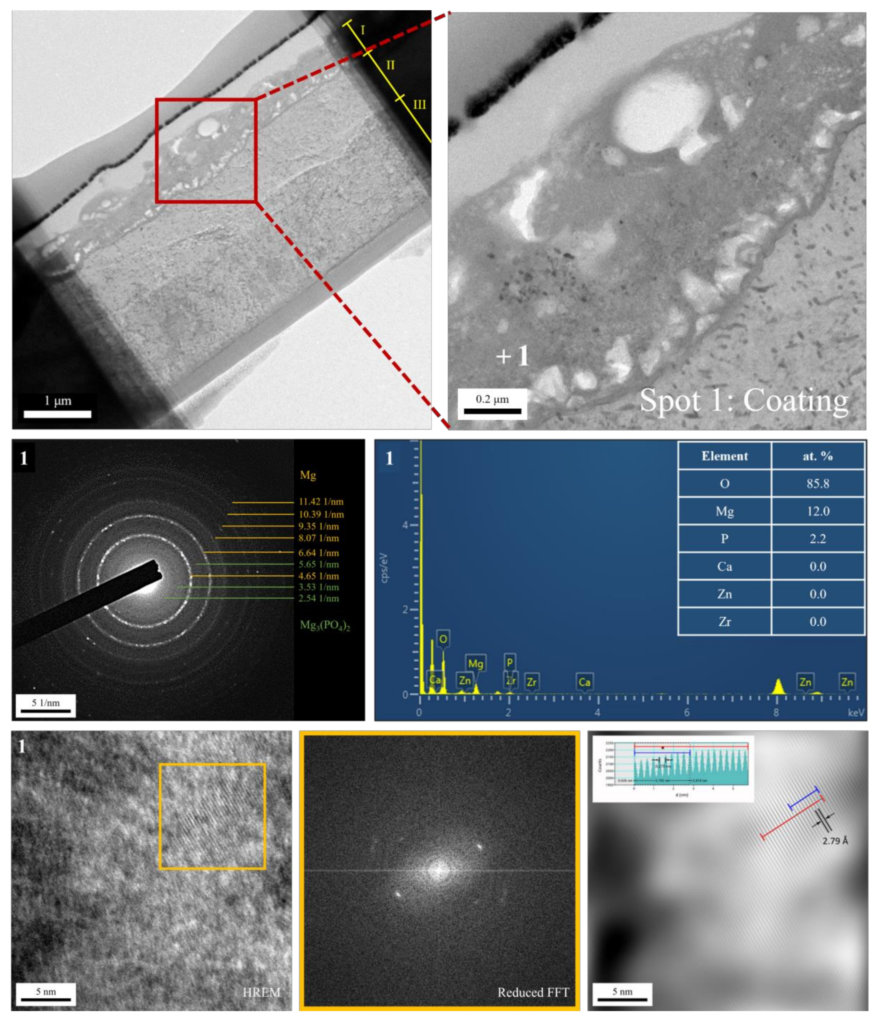 Bioengineering 09 00542 g007