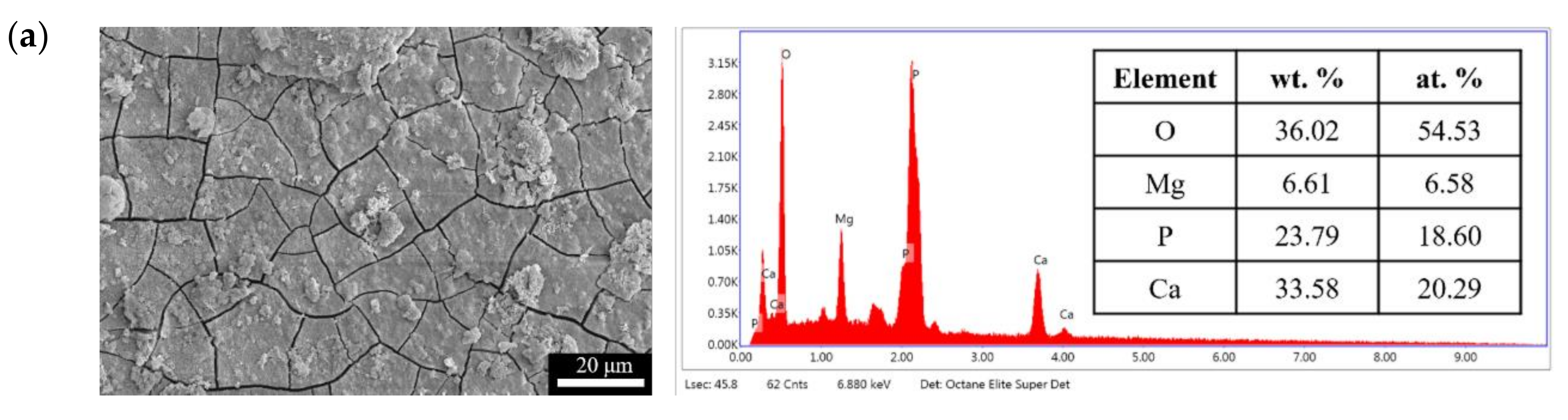 Bioengineering 09 00542 g011a