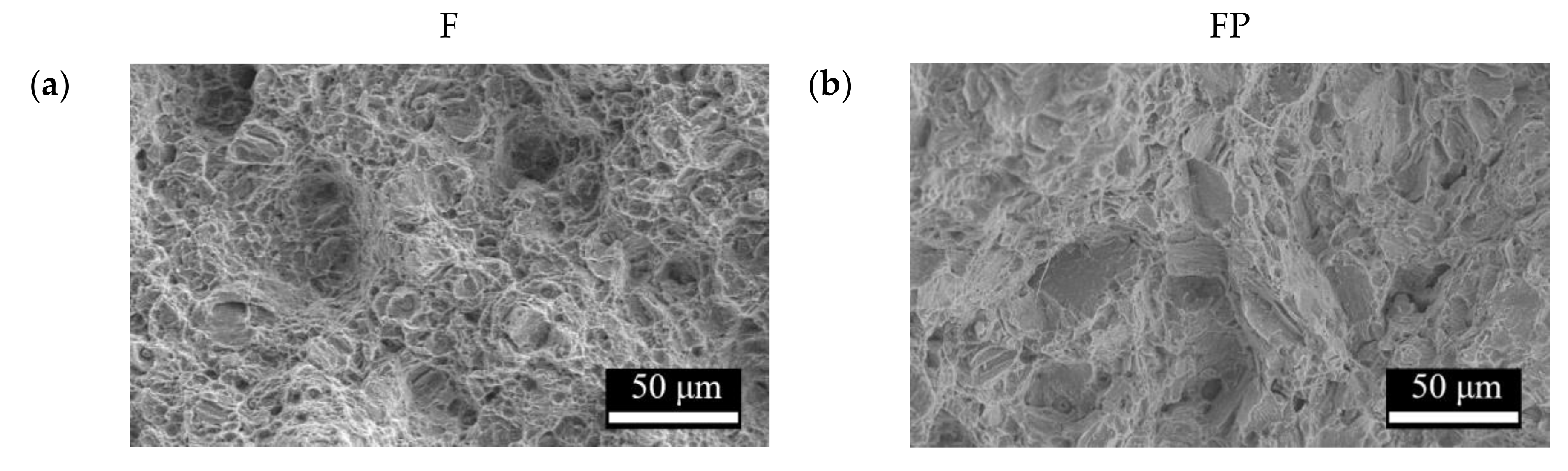 Bioengineering 09 00542 g016a