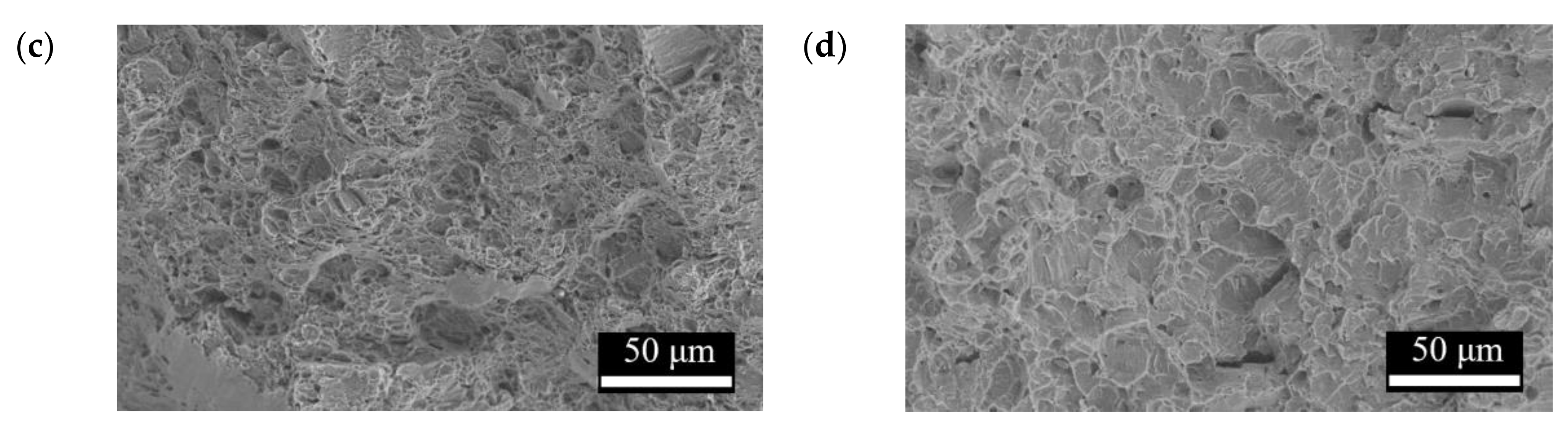 Bioengineering 09 00542 g016b