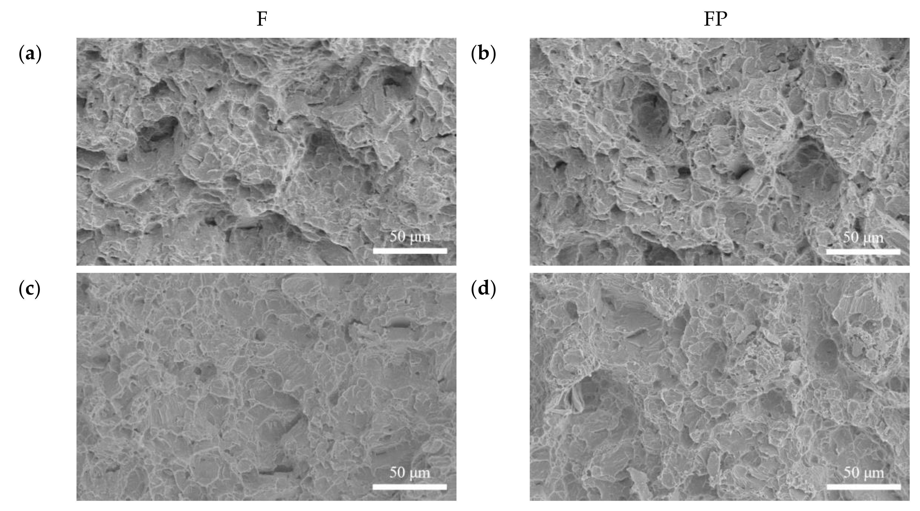 Bioengineering 09 00542 g018