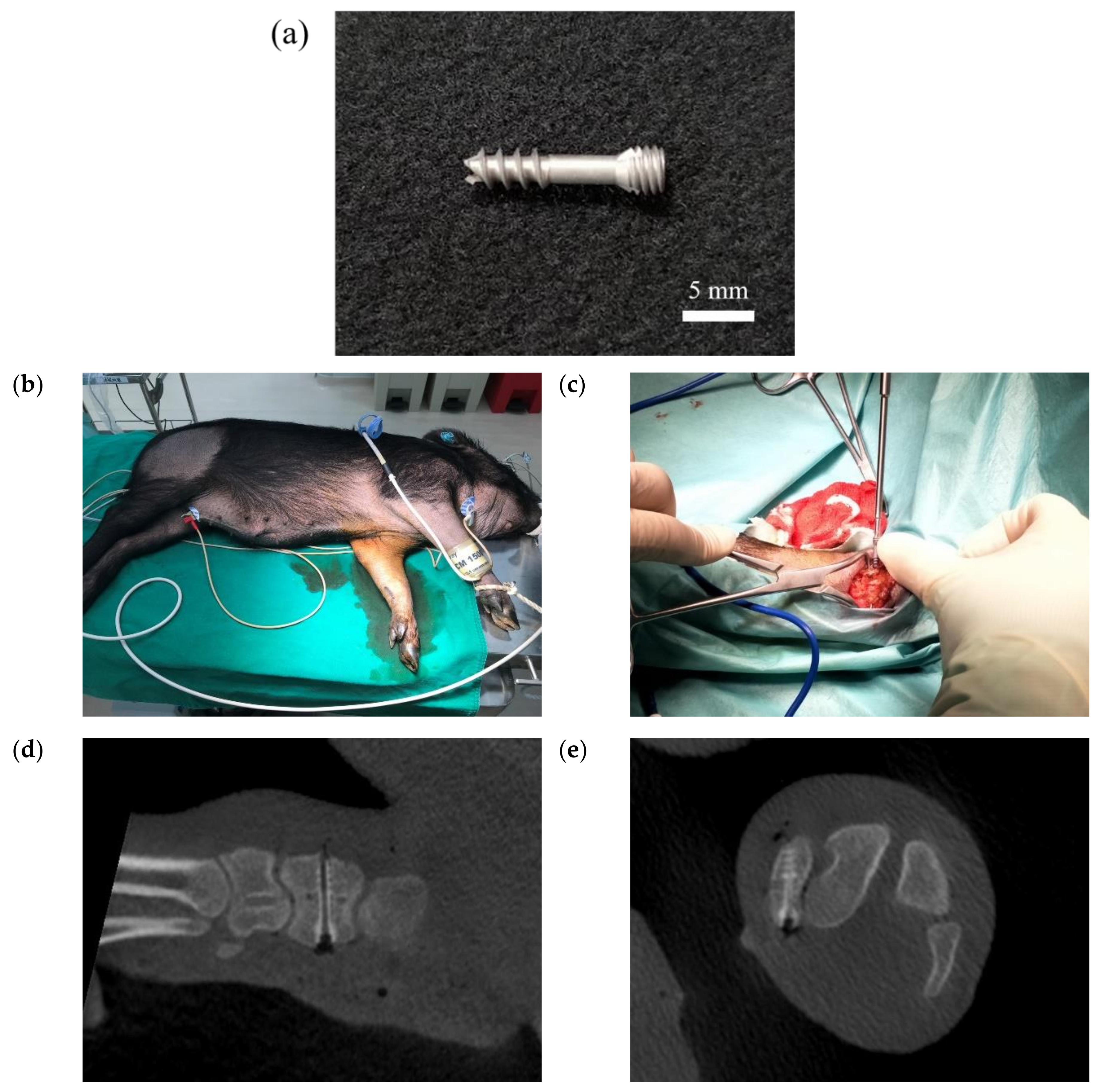 Bioengineering 09 00542 g020