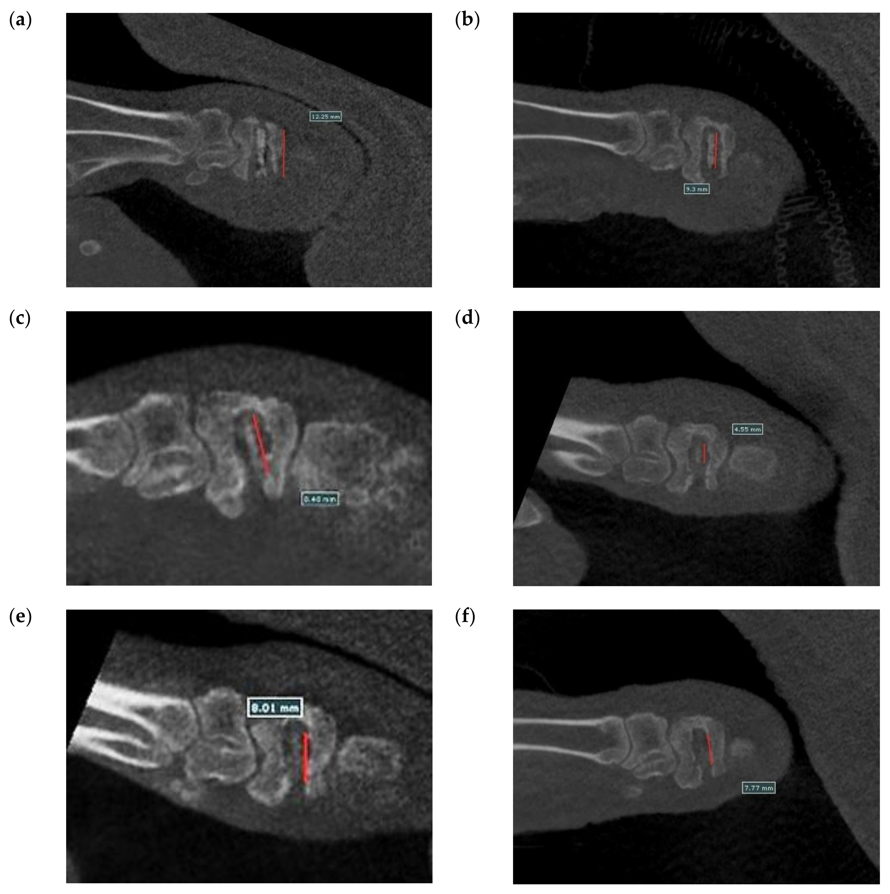 Bioengineering 09 00542 g021