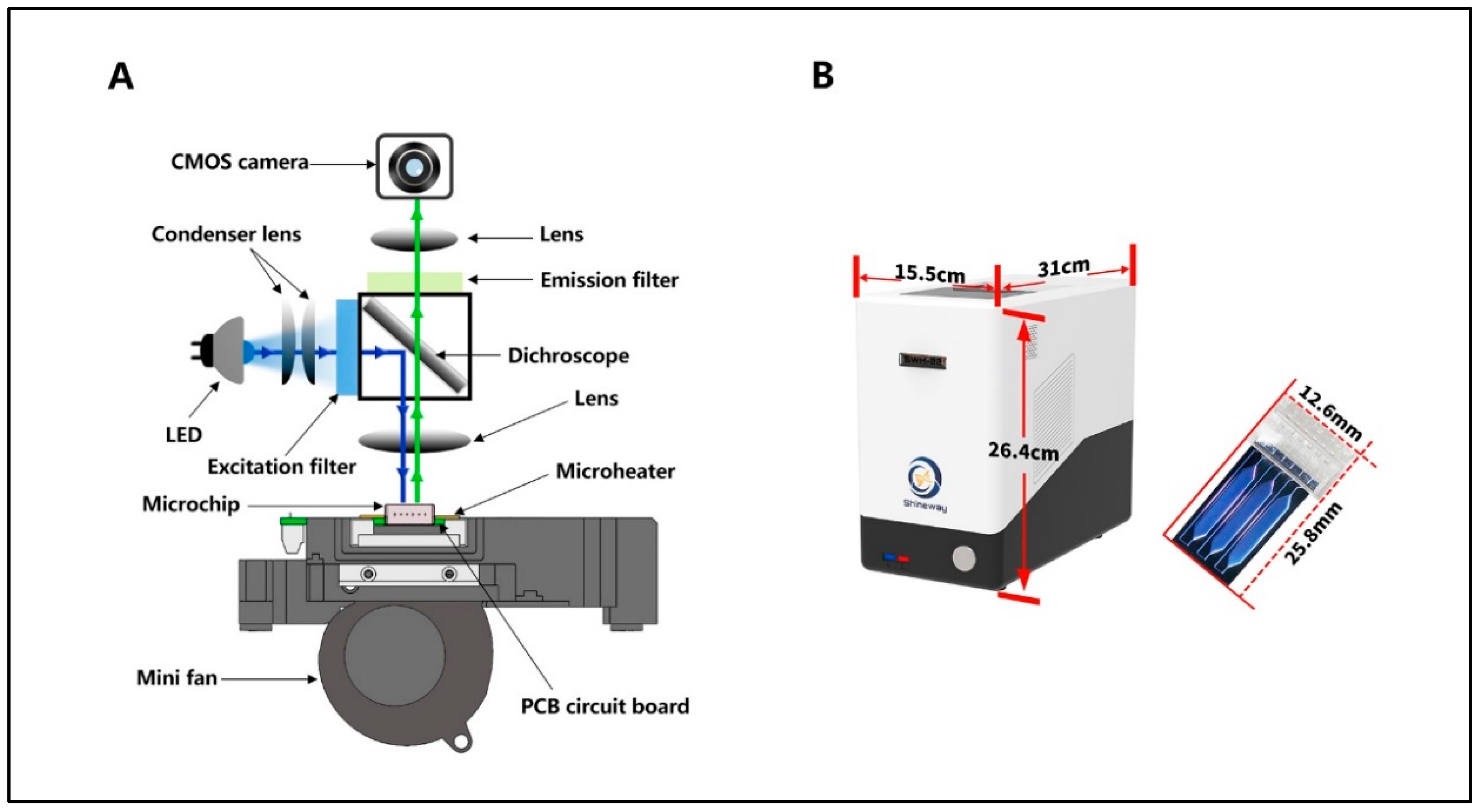 Bioengineering 09 00548 g001