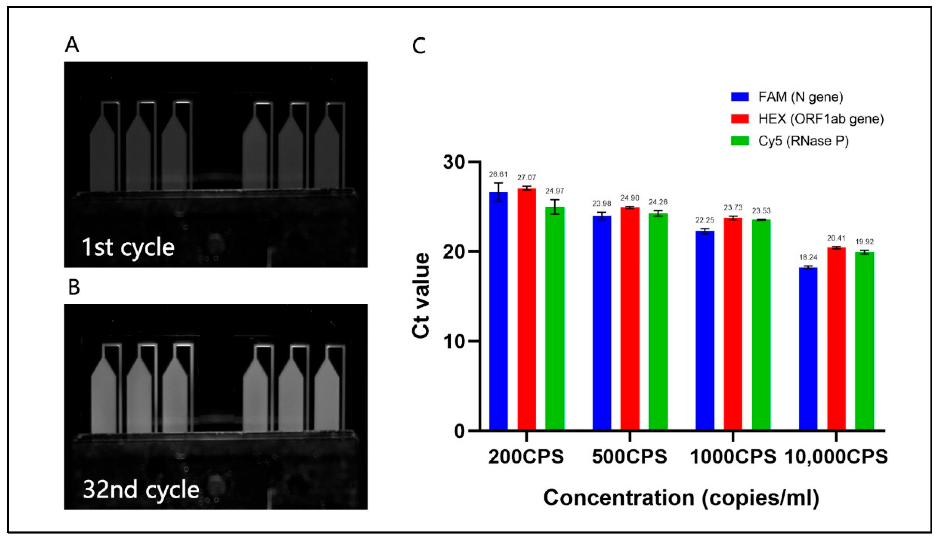 Bioengineering 09 00548 g004