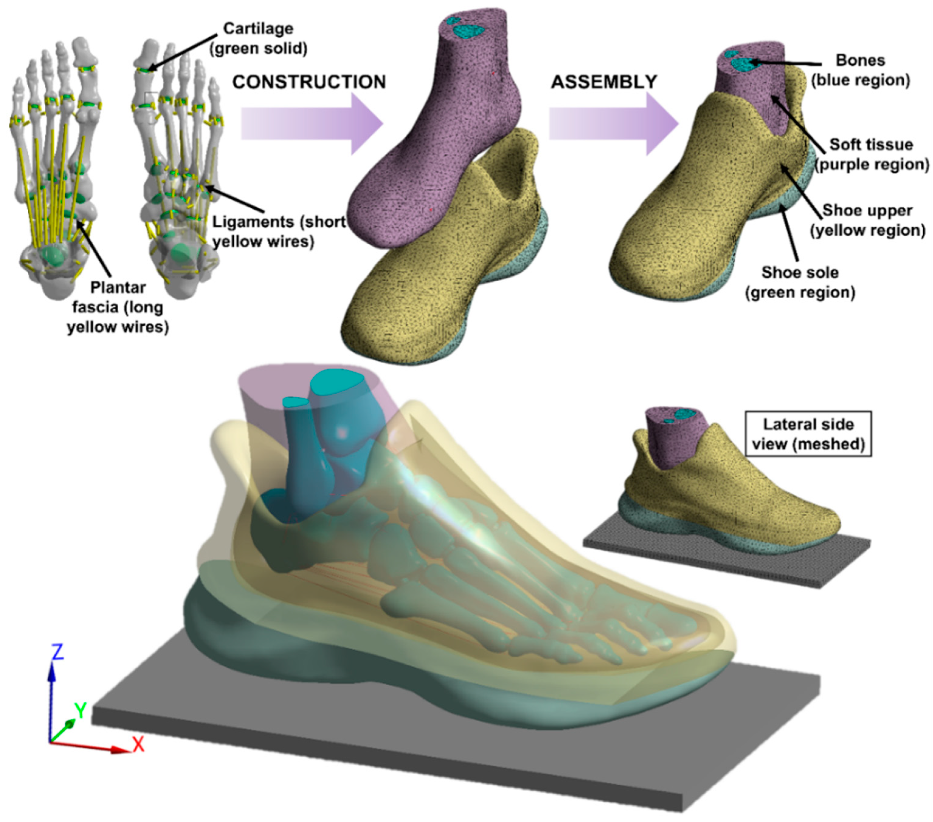 Bioengineering 09 00553 g001 Bioengineering 09 00553 g001