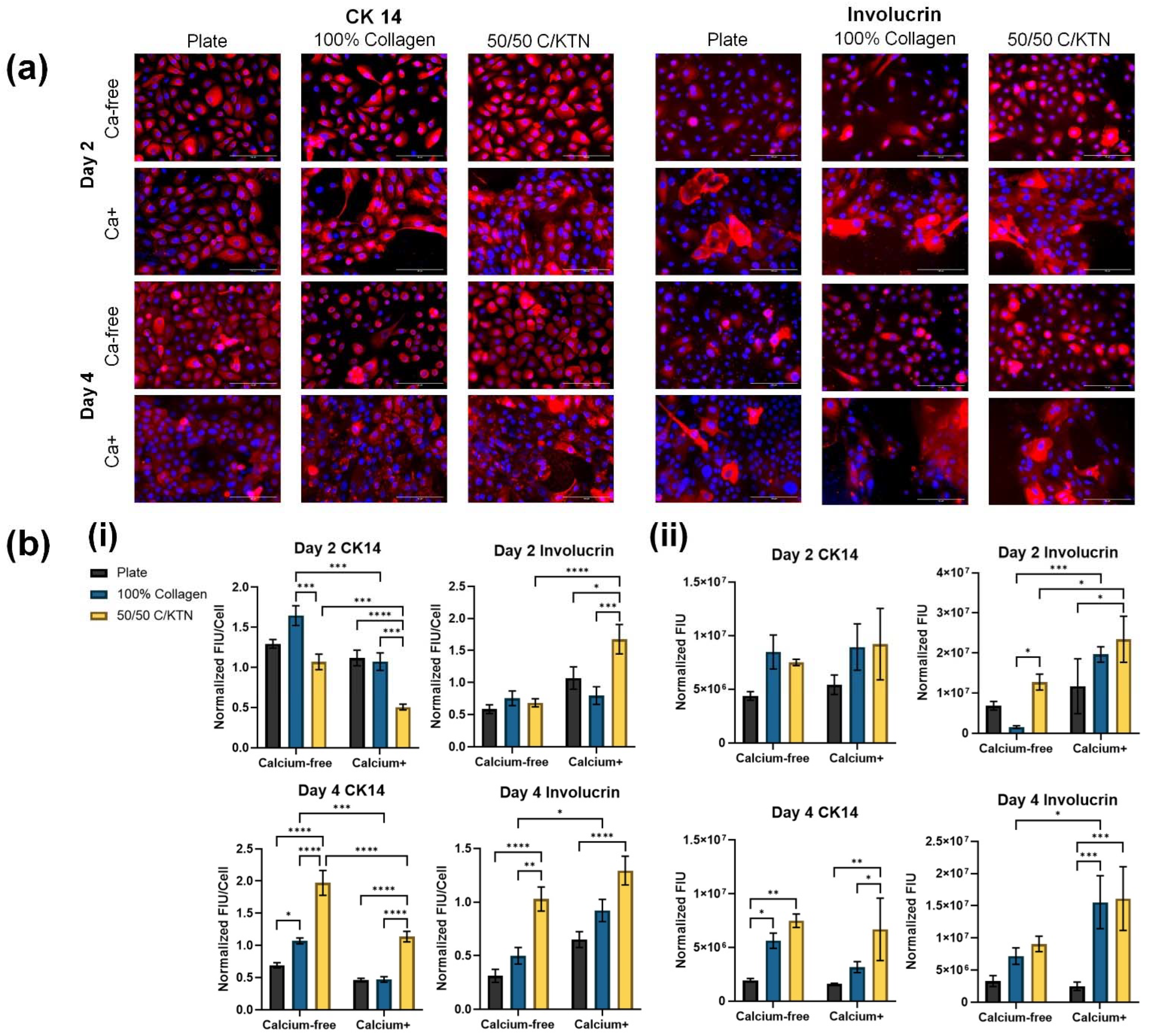 Bioengineering 09 00559 g005
