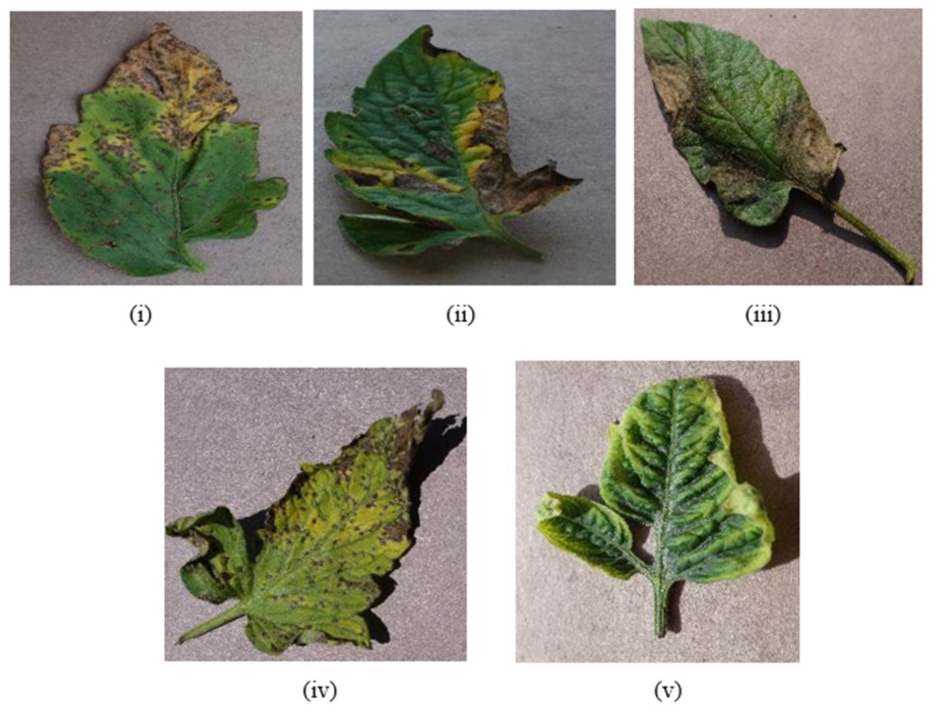 Bioengineering 09 00565 g004 Bioengineering 09 00565 g004
