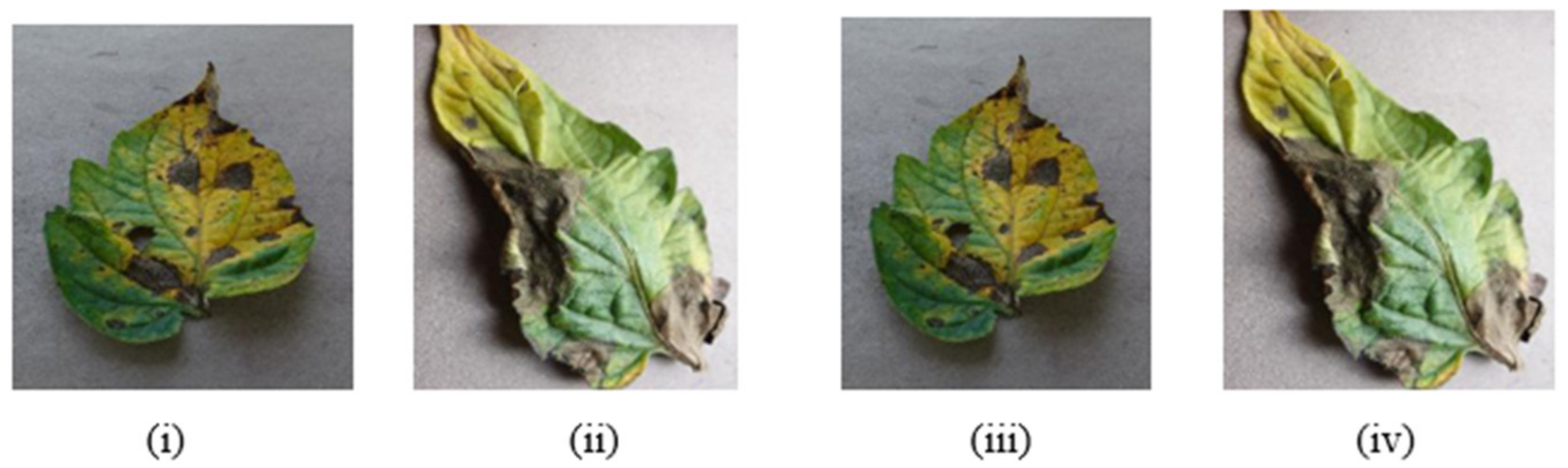 Bioengineering 09 00565 g005 Bioengineering 09 00565 g005