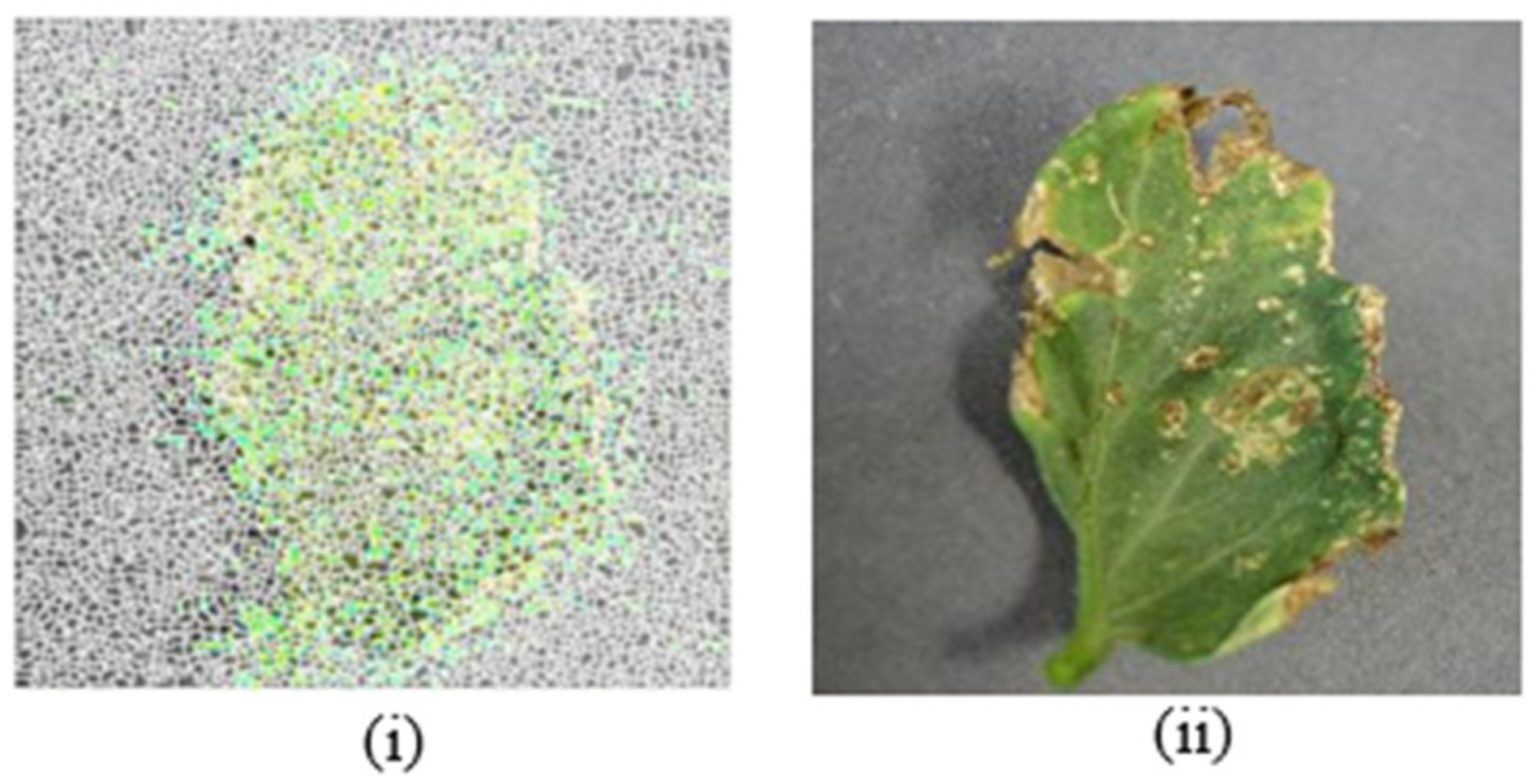 Bioengineering 09 00565 g007 Bioengineering 09 00565 g007