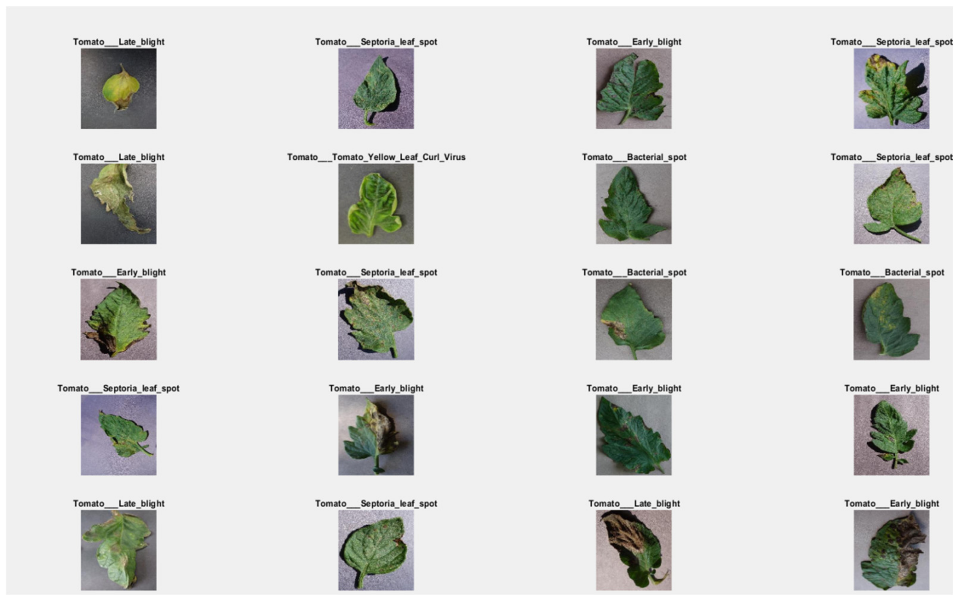 Bioengineering 09 00565 g009 Bioengineering 09 00565 g009