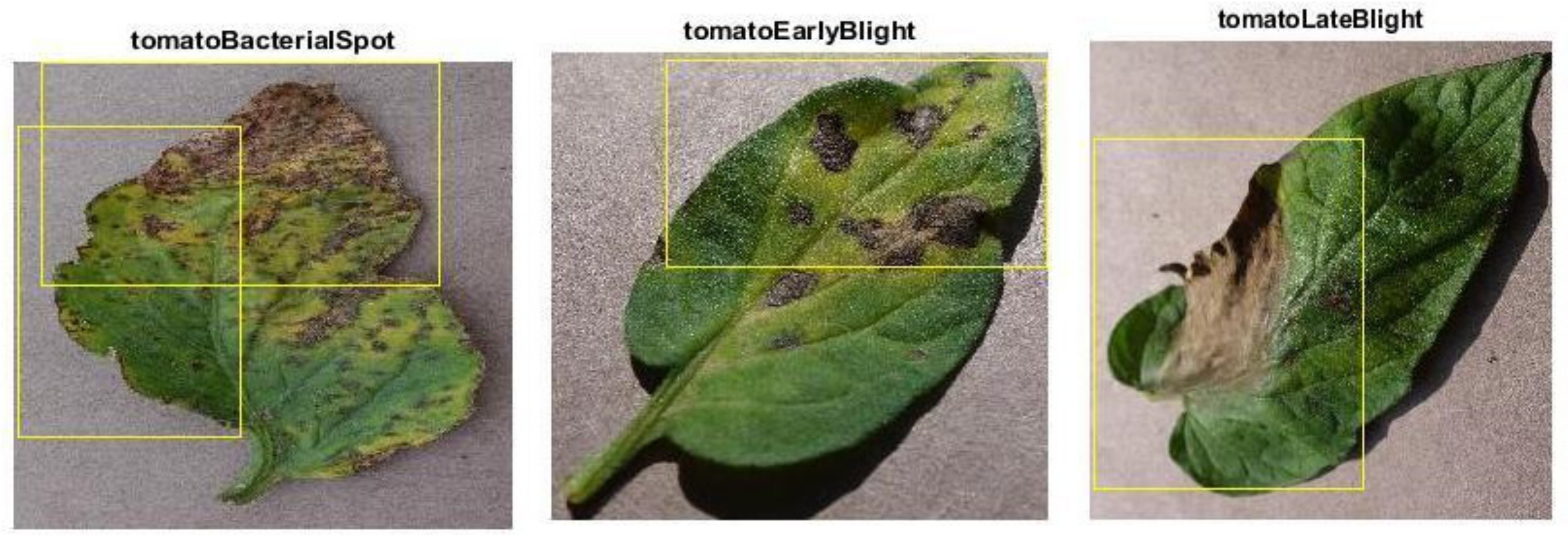 Bioengineering 09 00565 g015a Bioengineering 09 00565 g015a