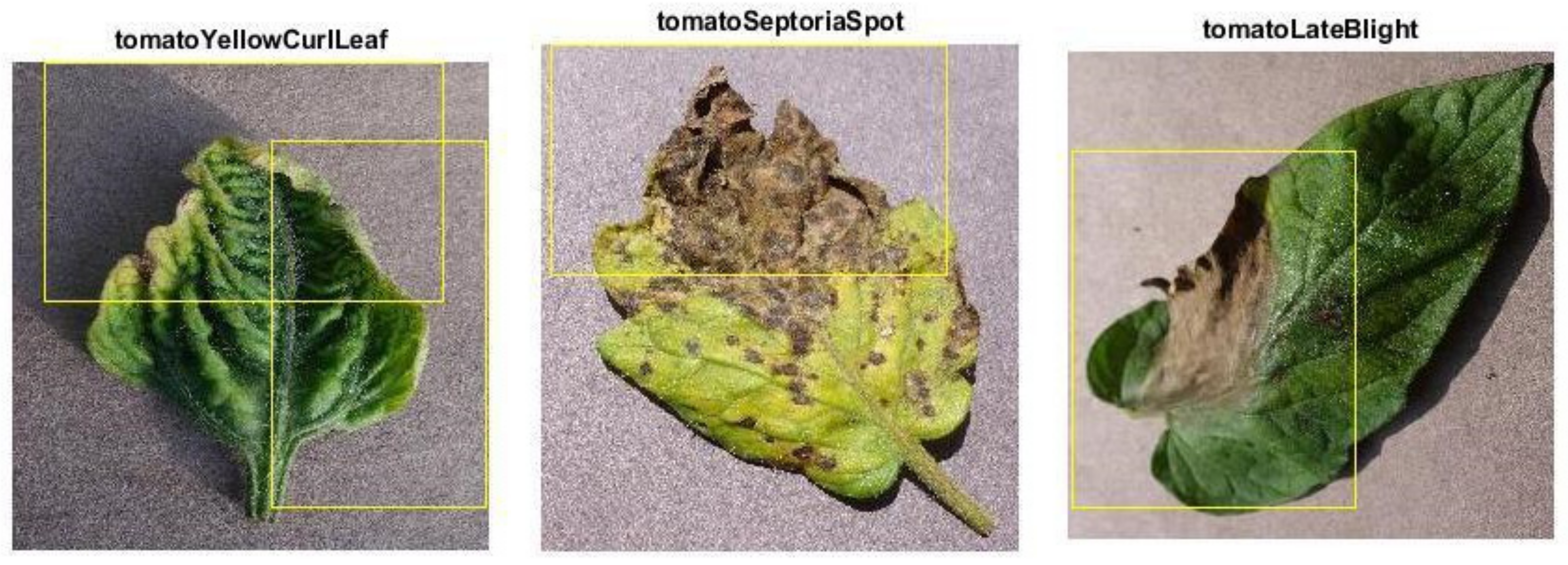 Bioengineering 09 00565 g015b Bioengineering 09 00565 g015b