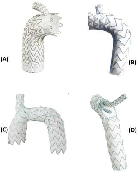 Bioengineering 09 00573 g003
