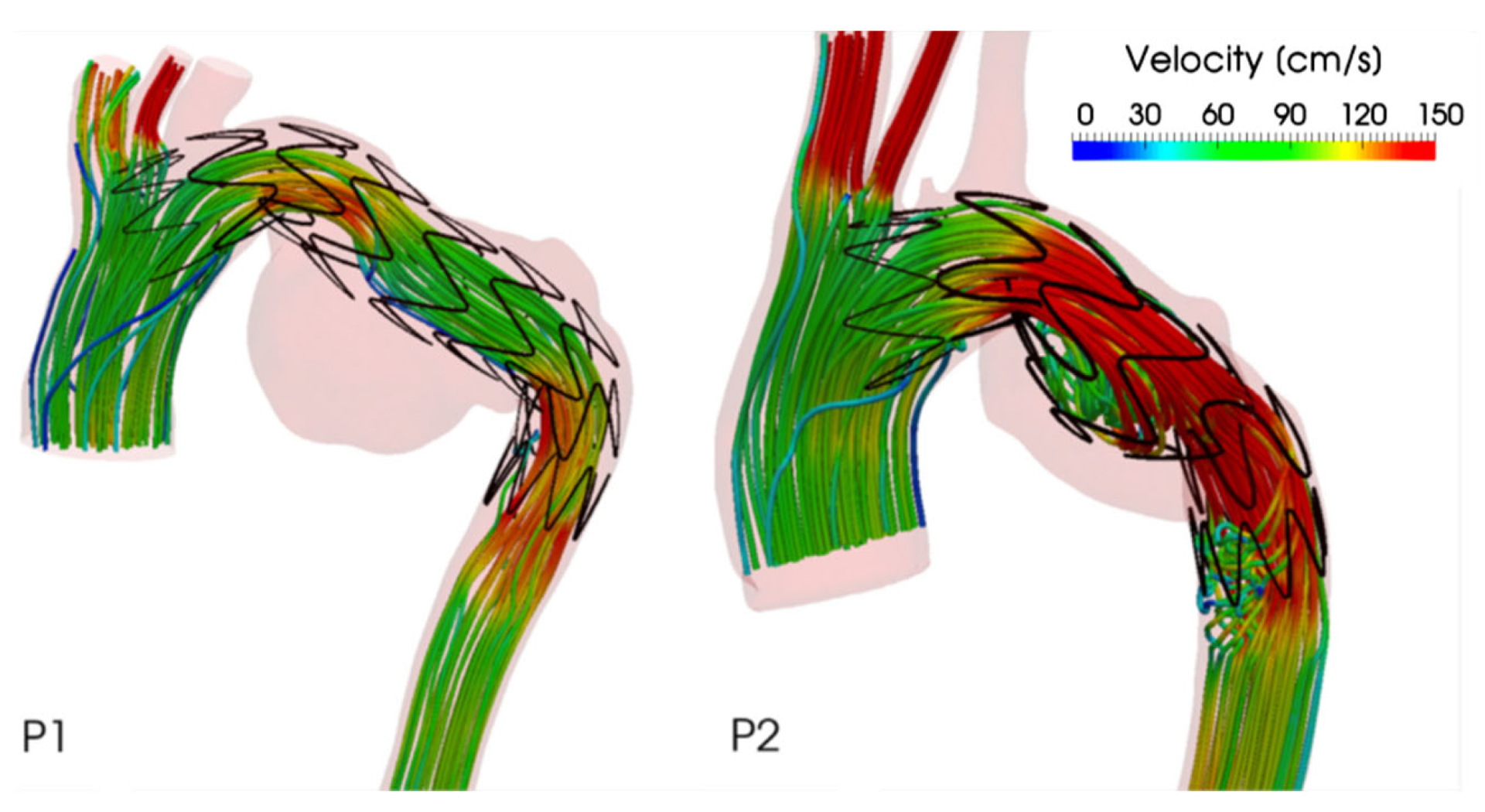 Bioengineering 09 00573 g009 Bioengineering 09 00573 g009