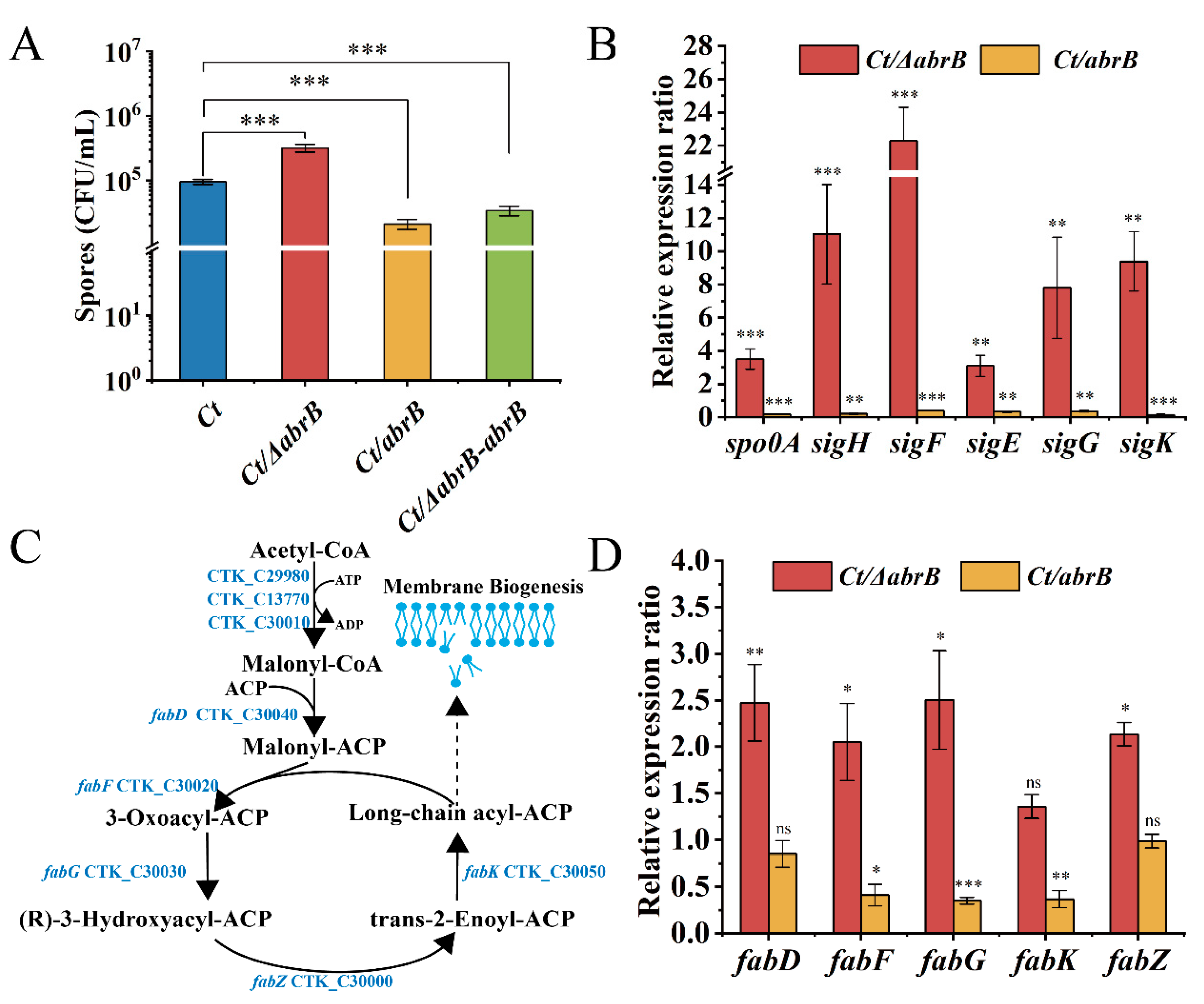 Bioengineering 09 00575 g003