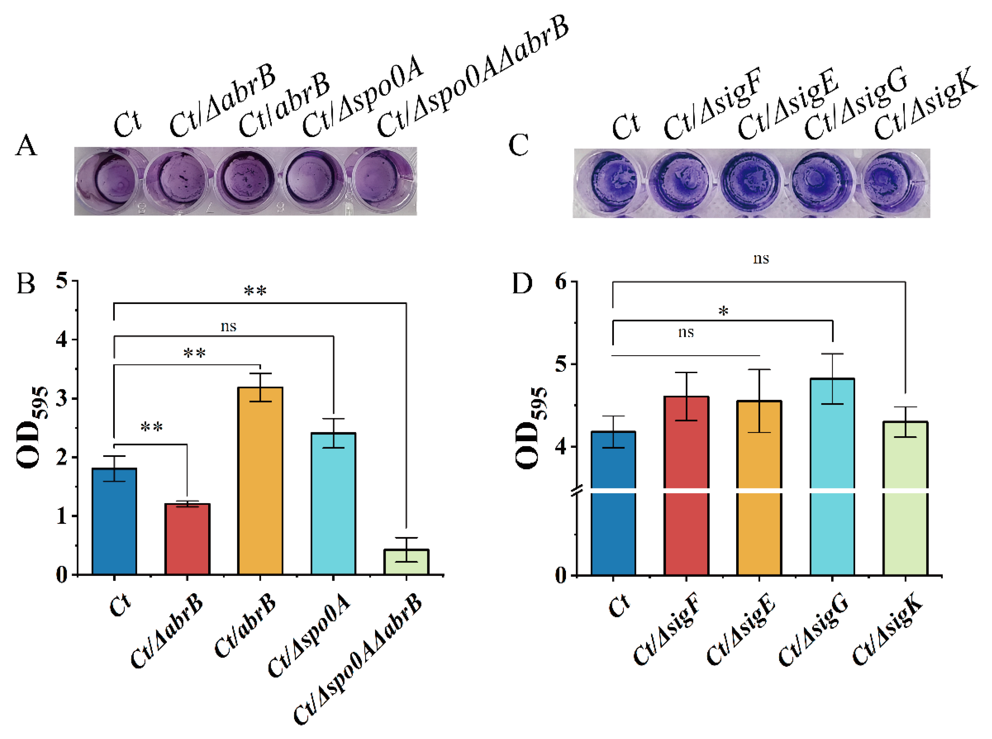 Bioengineering 09 00575 g004