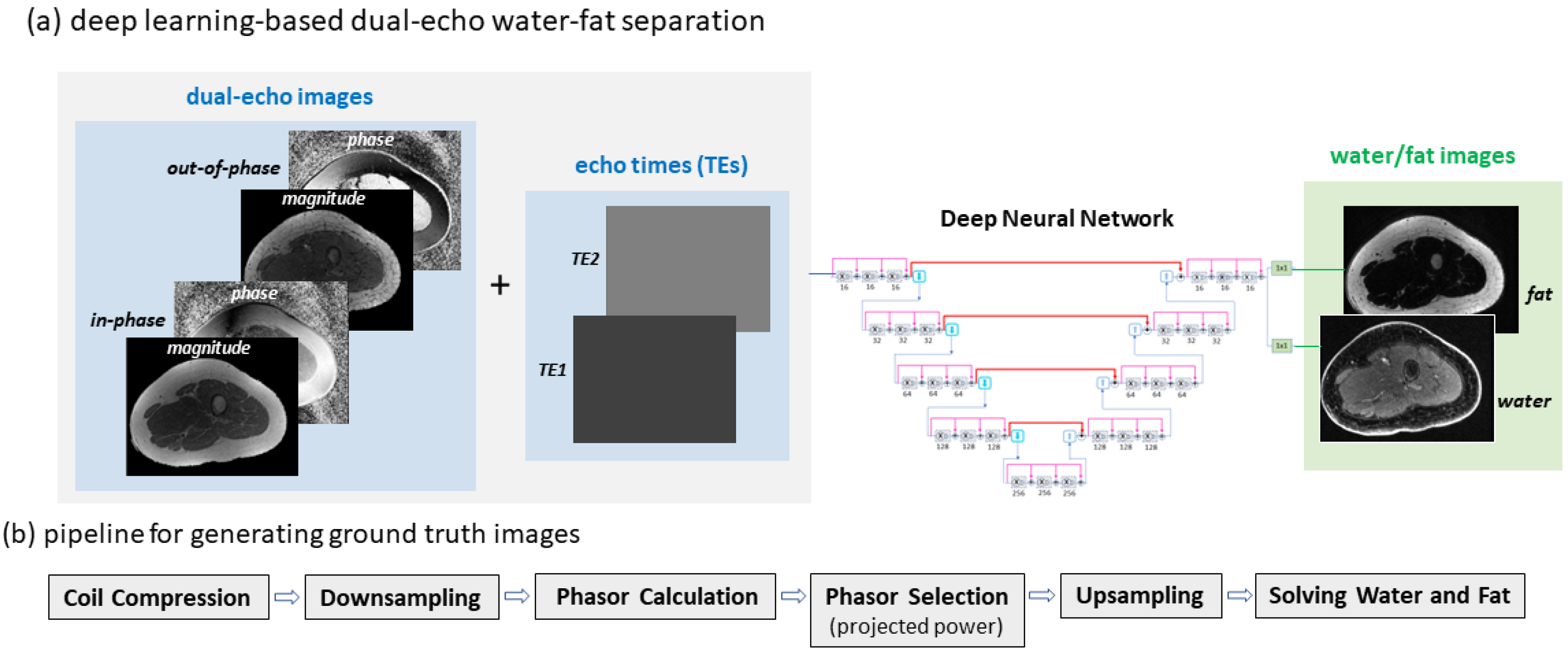 Bioengineering 09 00579 g001a Bioengineering 09 00579 g001a