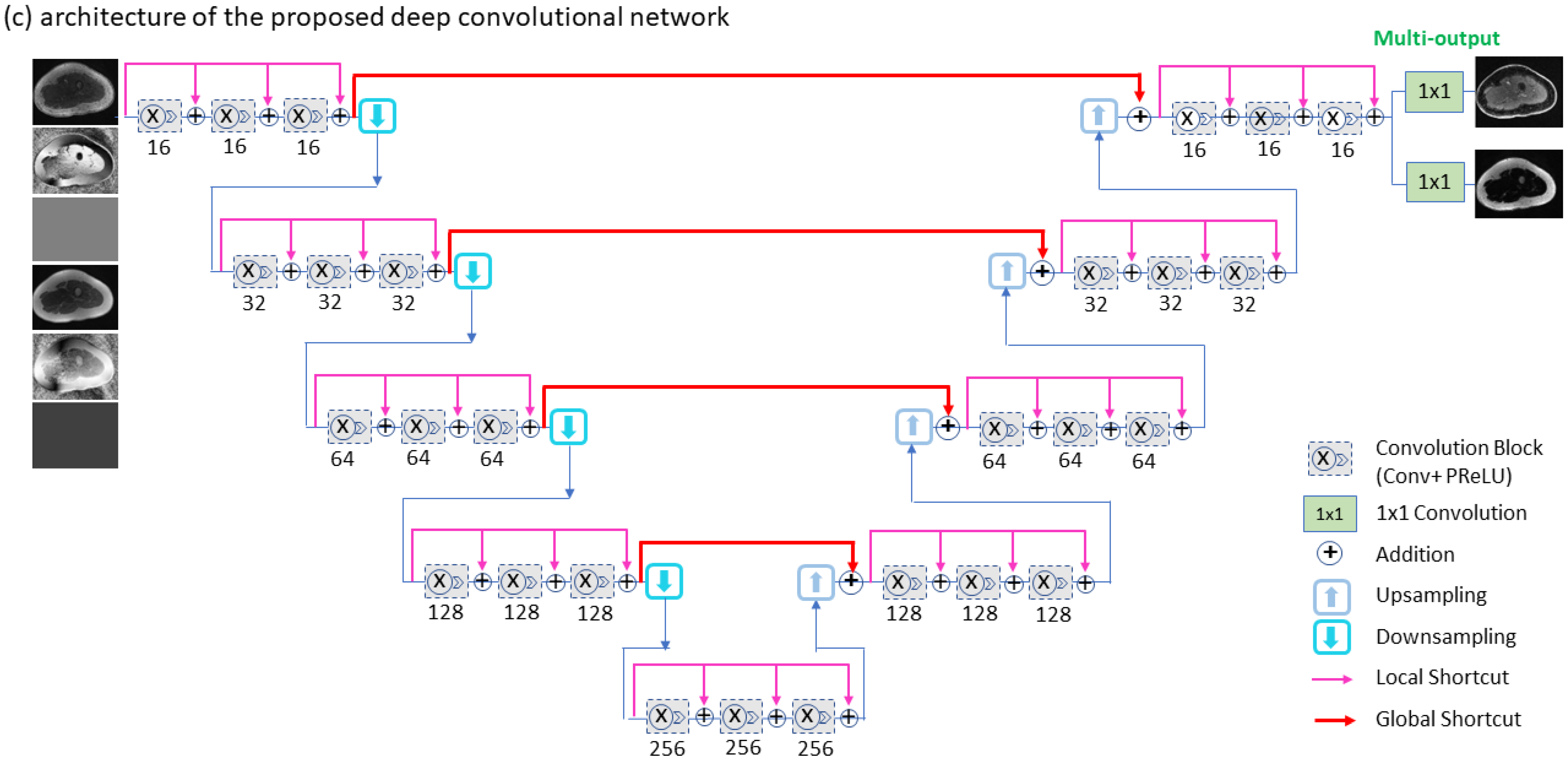 Bioengineering 09 00579 g001b Bioengineering 09 00579 g001b