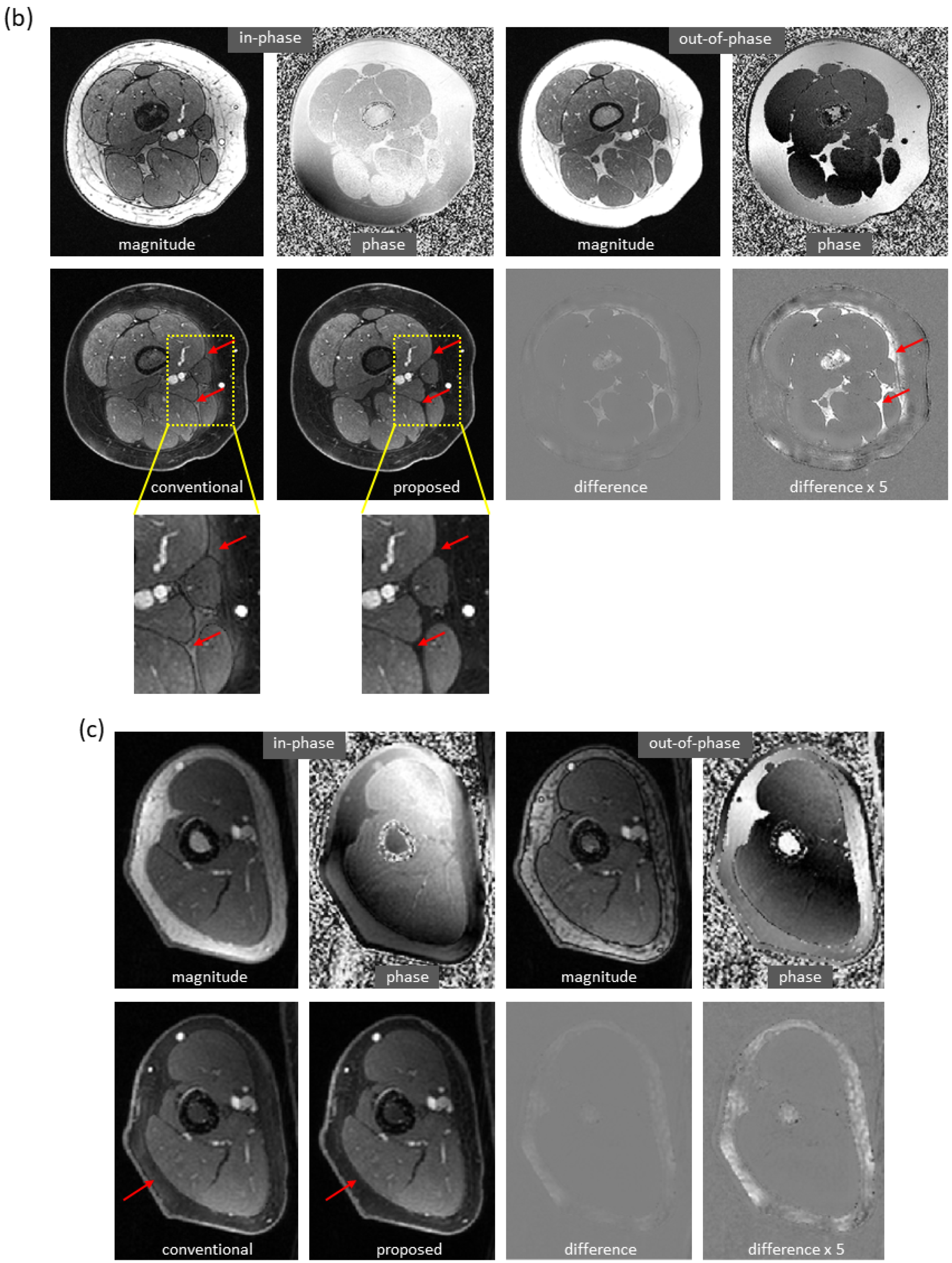 Bioengineering 09 00579 g004b Bioengineering 09 00579 g004b