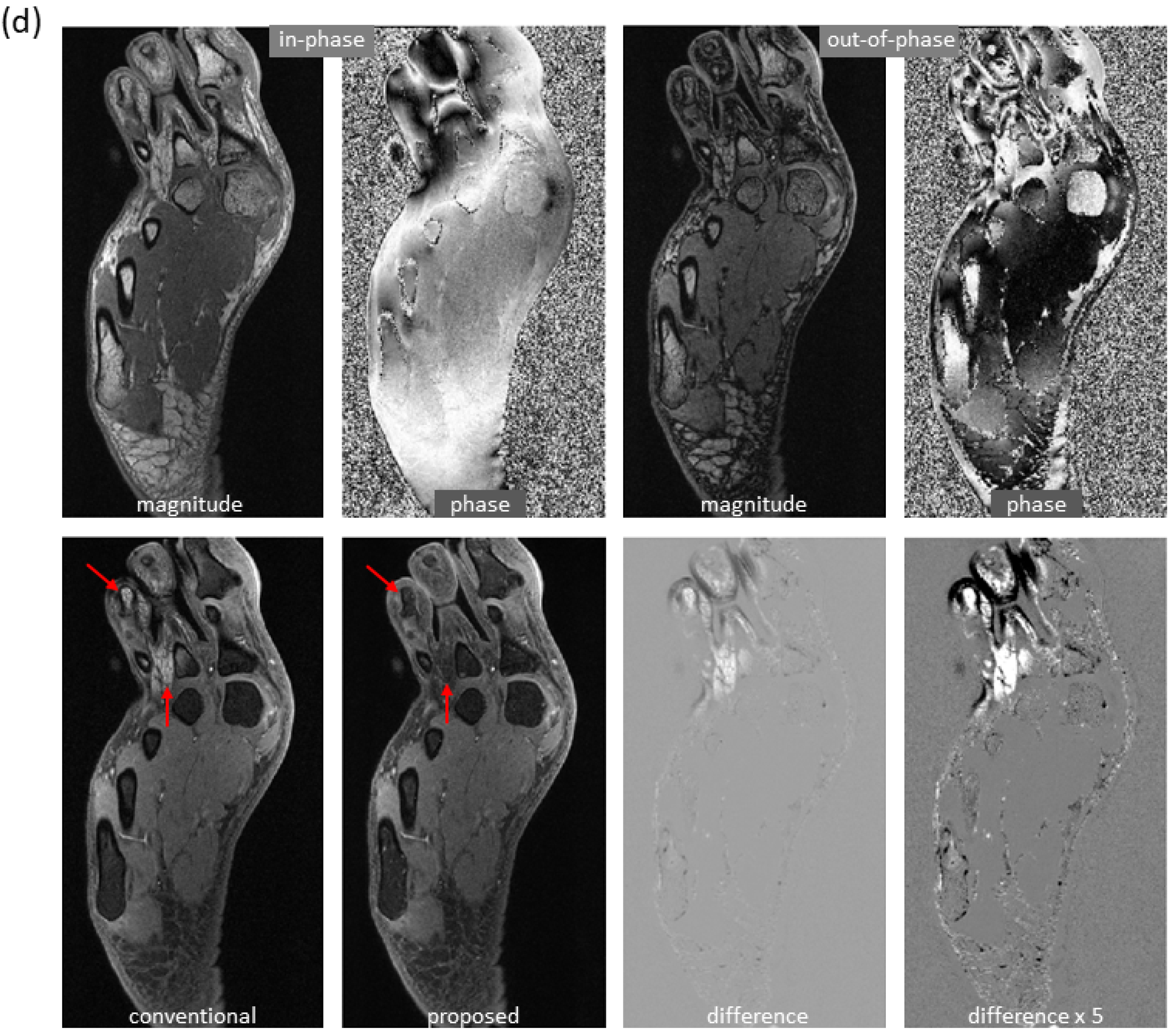 Bioengineering 09 00579 g004c Bioengineering 09 00579 g004c