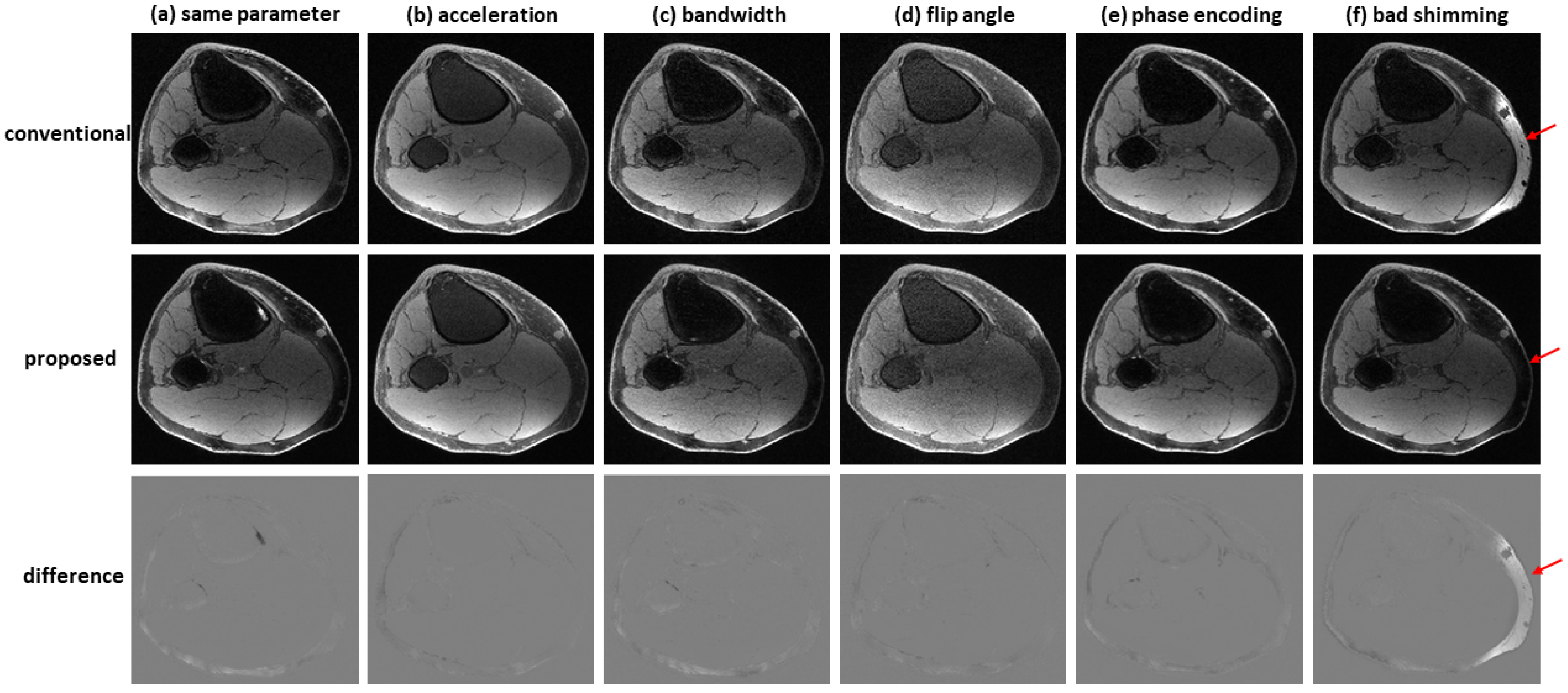 Bioengineering 09 00579 g007 Bioengineering 09 00579 g007