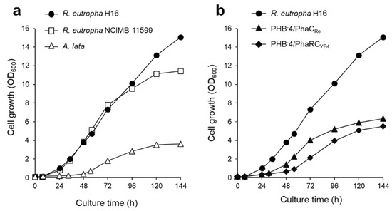 Bioengineering 09 00586 g006