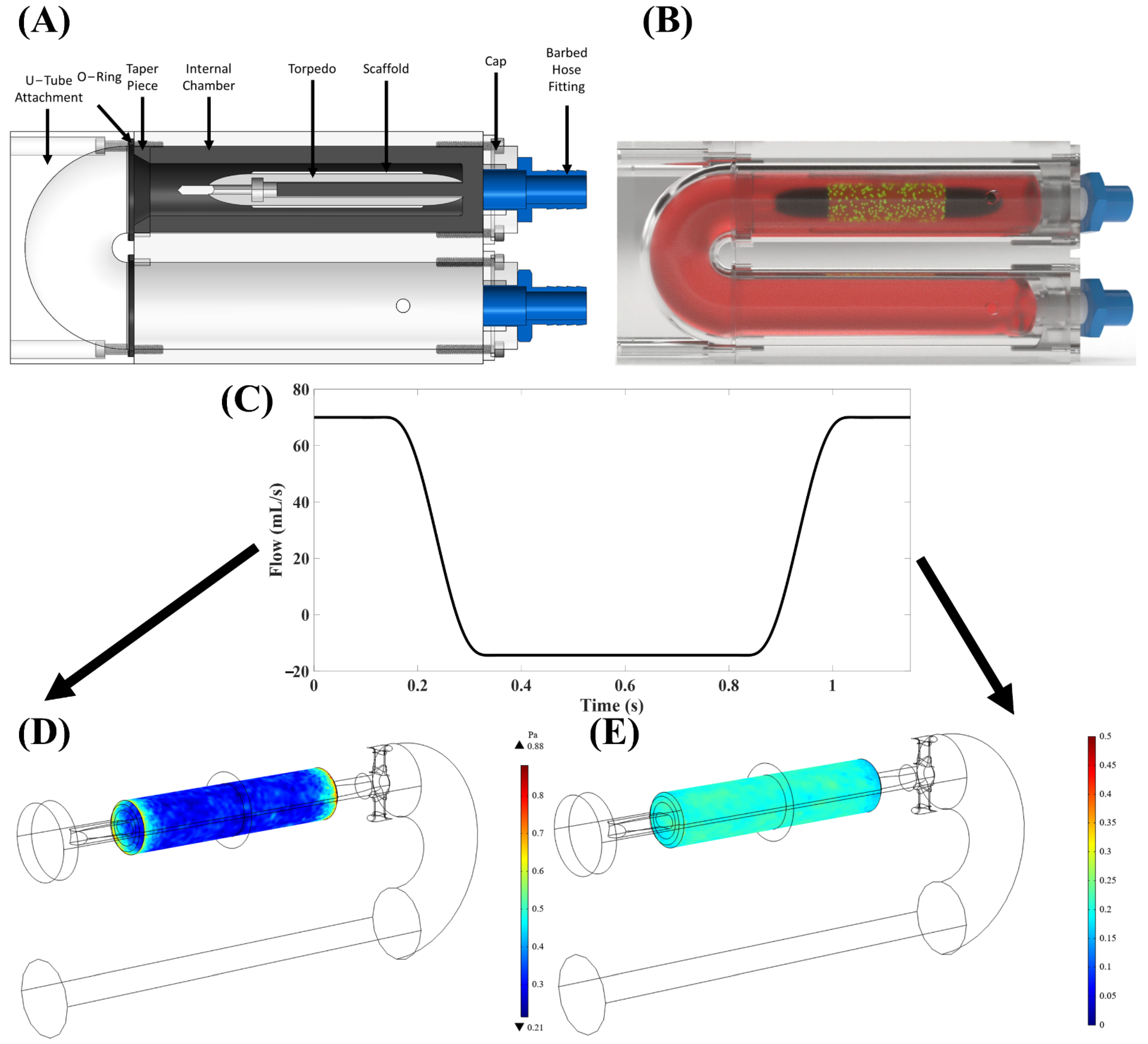 Bioengineering 09 00587 g001 Bioengineering 09 00587 g001