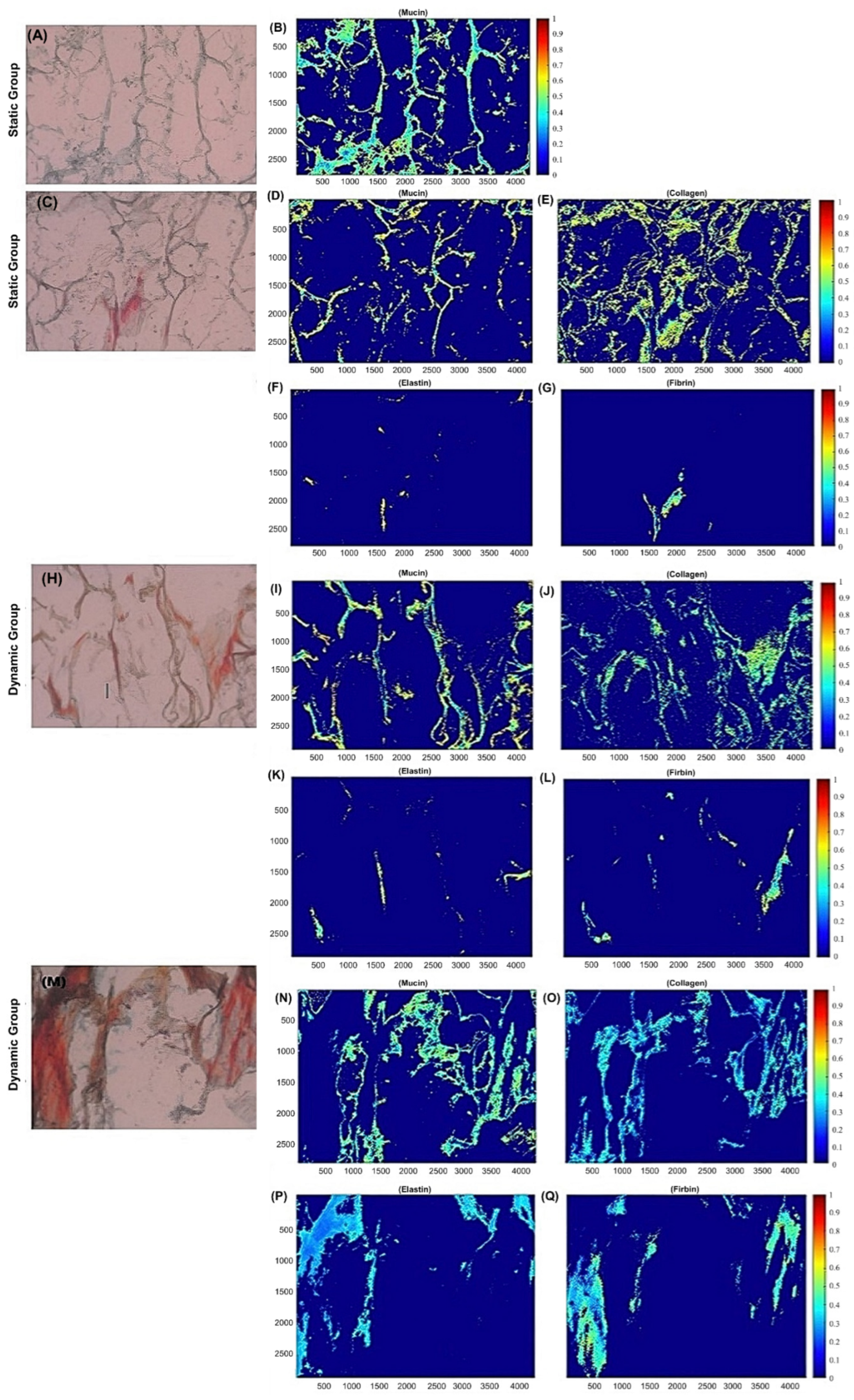 Bioengineering 09 00587 g002 Bioengineering 09 00587 g002