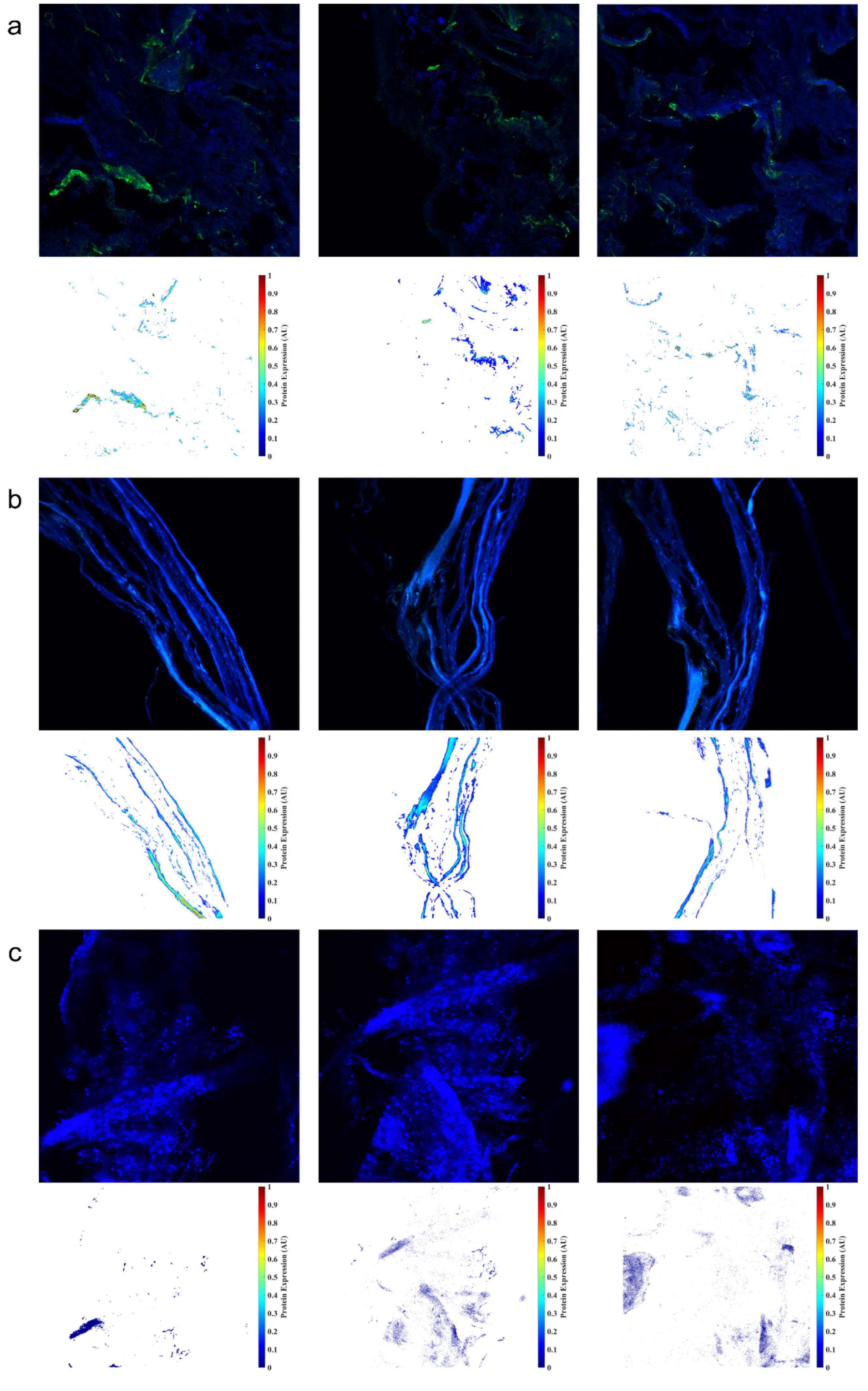 Bioengineering 09 00587 g003 Bioengineering 09 00587 g003